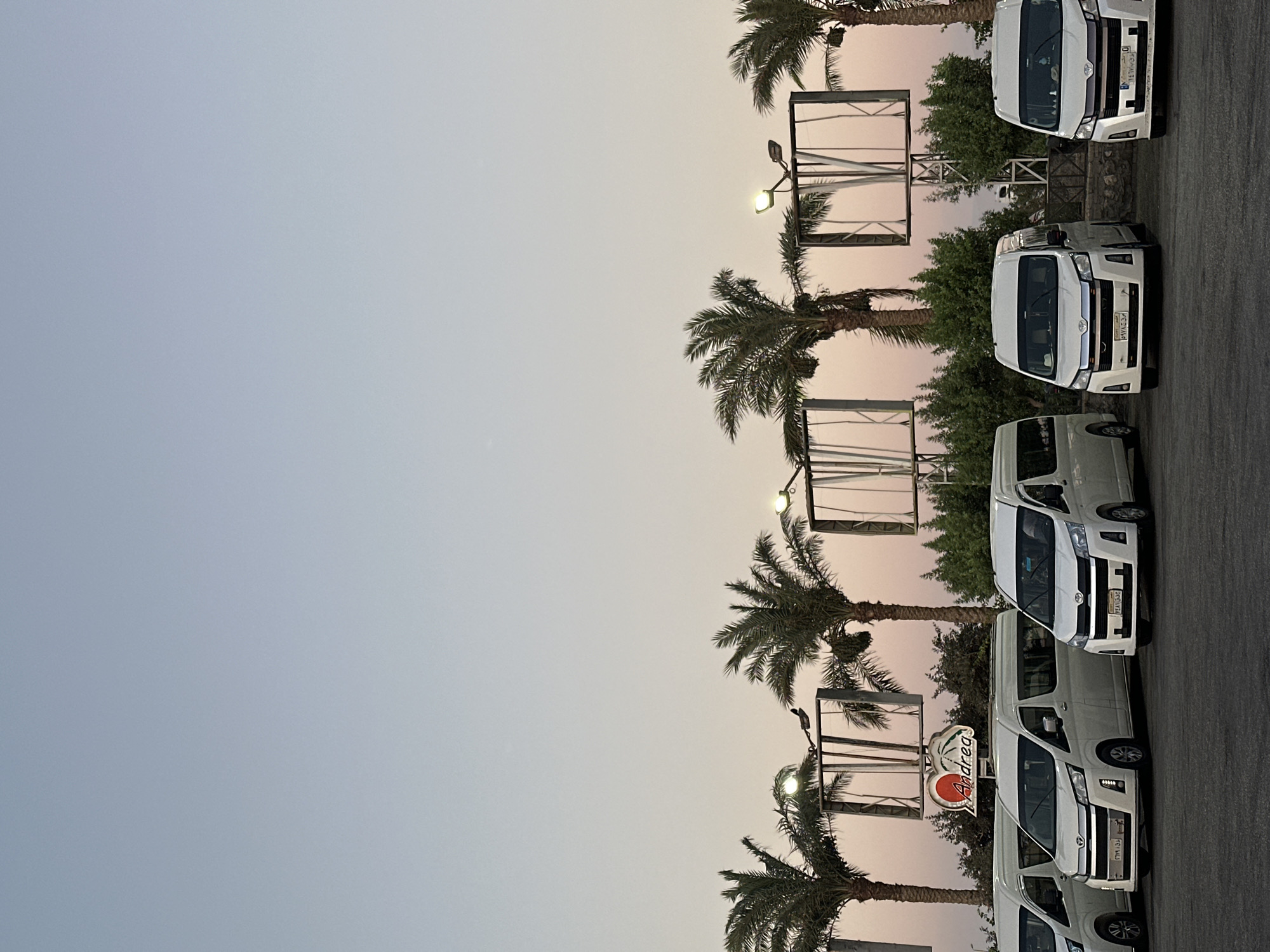 The image depicts a parking lot with several white minivans lined up. Behind the vehicles, a row of palm trees stands tall against a pale sky, suggesting a warm climate. In the background, there are structures that appear to be large outdoor billboards or display screens, some of which are framed by metal scaffolding. A sign with a red heart and the word "Andrea" is visible above one of the minivans. The scene appears to be set in the city of Gharib Cape, Egypt, as indicated by the presence of palm trees and the overall atmosphere. The lighting suggests either early morning or late evening. There are no people clearly visible in the image.