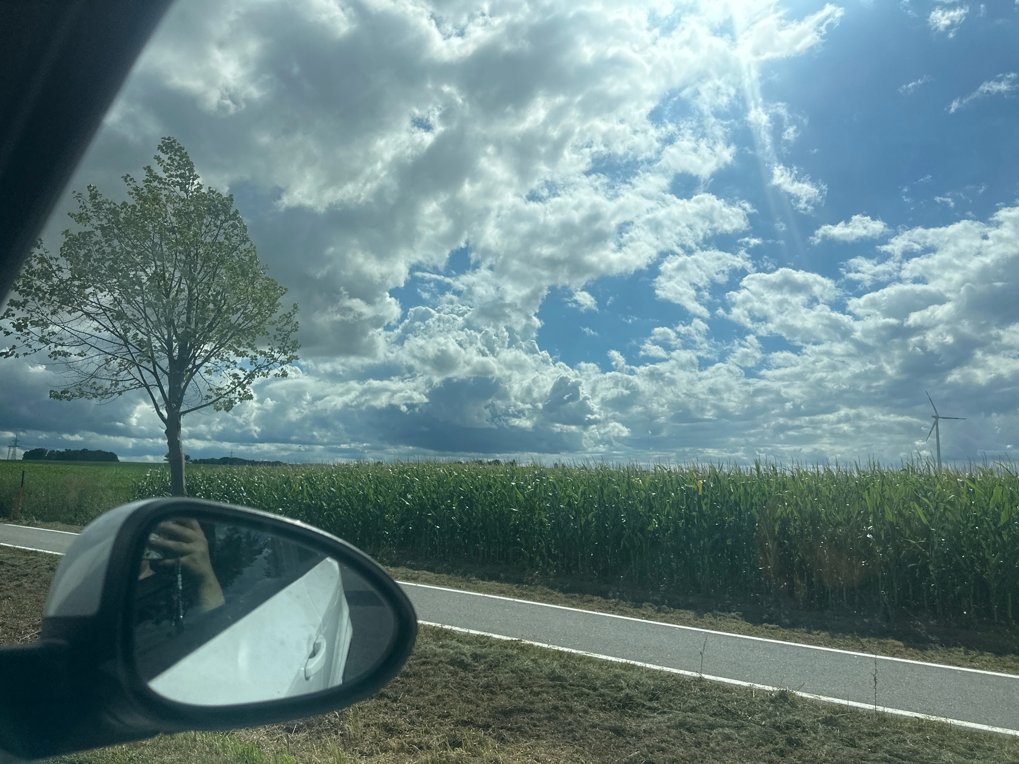 The image depicts a view from inside a vehicle looking out at a rural landscape near Panschwitz-Kuckau, Germany. A side-view mirror is prominently featured in the foreground, reflecting the interior of the car and the person holding the camera. Beyond the mirror, a narrow asphalt road runs horizontally through a field of tall, green corn. To the left, a lone tree with sparse leaves stands beside the road. In the distance, a wind turbine is visible against a backdrop of a partly cloudy sky with bright sunshine filtering through. The ground along the road is covered in dry grass.