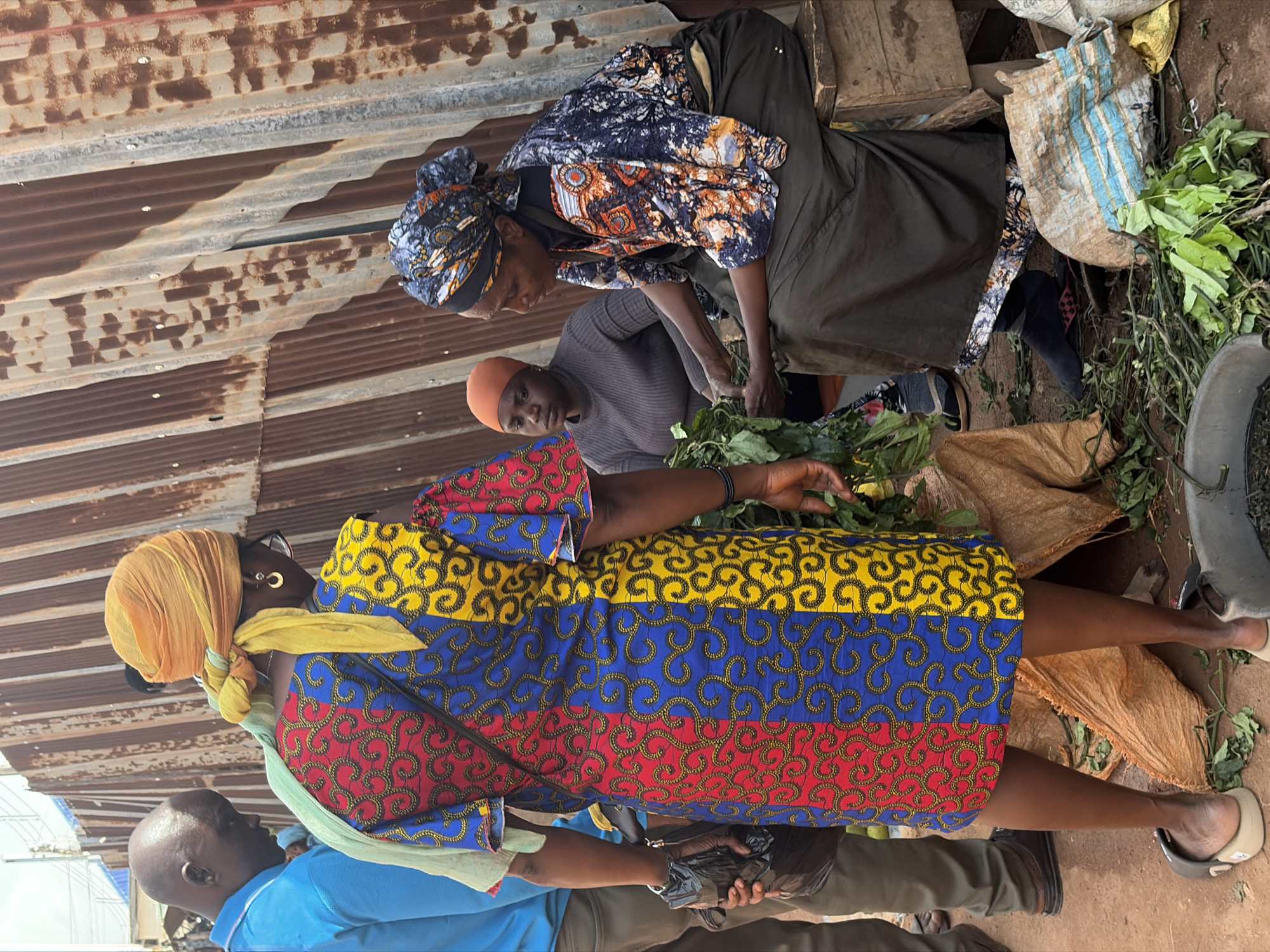 This image captures a scene at a market in Jos, Nigeria. In the foreground, a woman wearing a vibrantly colored dress with a red, blue, and yellow patterned fabric stands facing away from the camera. She has an orange headscarf tied with a yellow fabric. Beside her, another woman is seated on a wooden crate, wearing a dark grey skirt and a patterned top with orange and blue accents, her head covered with a patterned scarf. She is holding a bunch of green leafy vegetables. To the left, a man in a blue shirt is visible, looking downwards. The ground is dirt, with scattered green leaves and a large sack visible. In the background, a corrugated metal wall, appearing rusty and weathered, serves as a backdrop. The overall atmosphere suggests a bustling outdoor market environment.