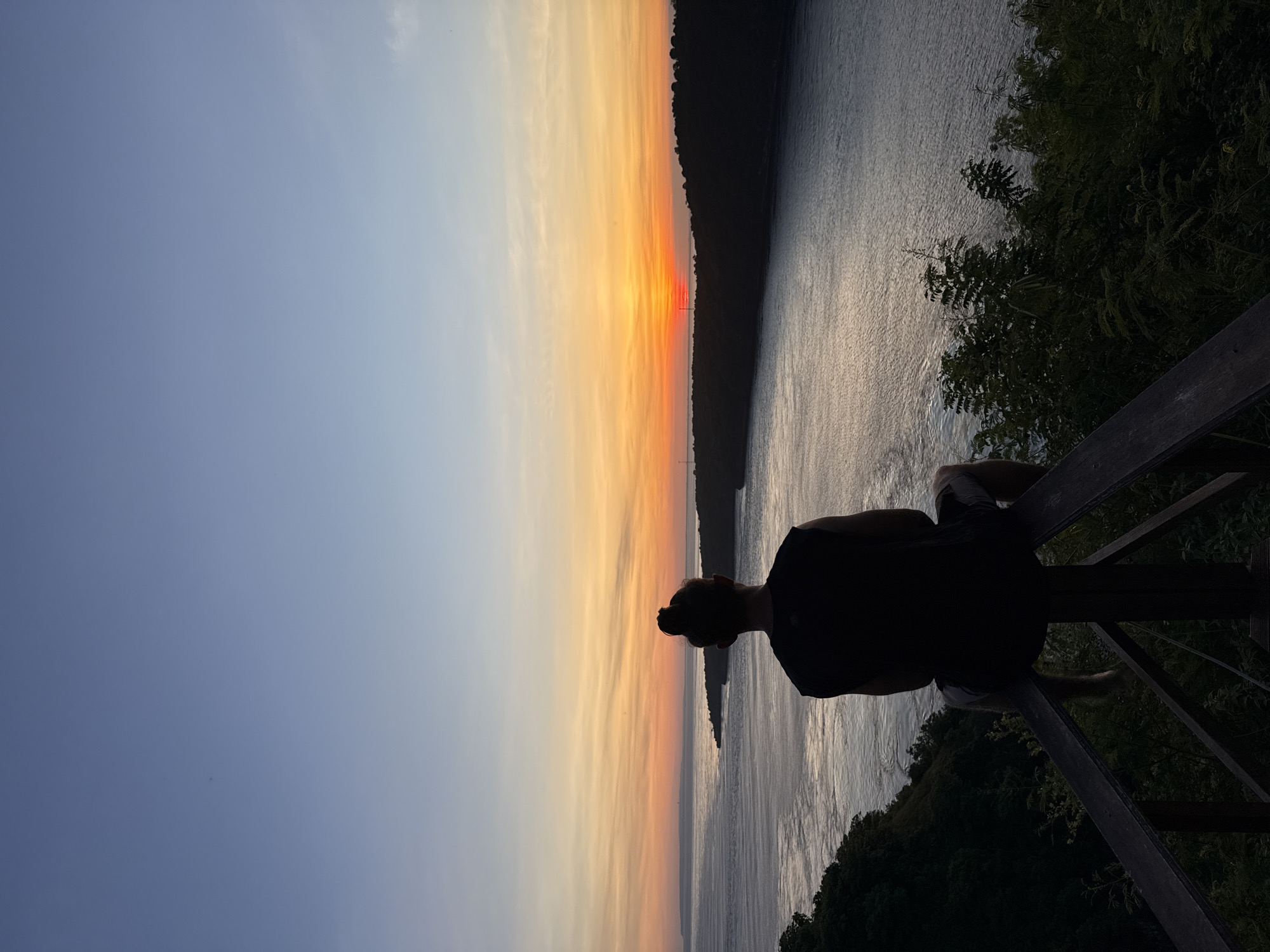 A photograph shows a person looking out over water at sunset. The person is silhouetted against the vibrant colors of the setting sun. The body of water stretches out to meet the horizon, reflecting the light. The location appears to be an elevated viewpoint or platform with wooden railings. The vegetation is visible in the foreground and along the opposite shoreline. The specific location in the city of Nusa Penida, Indonesia cannot be determined from the image.