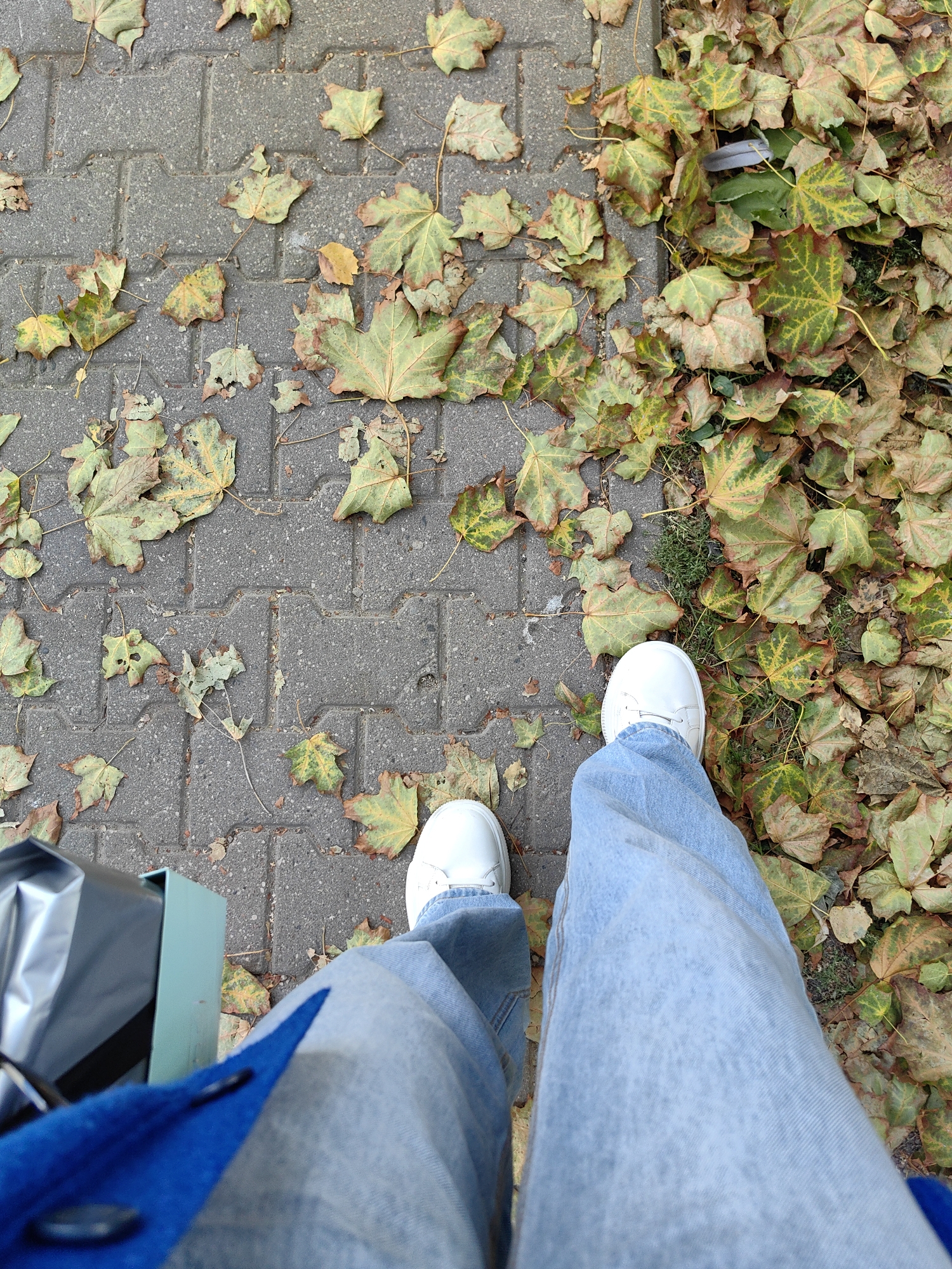 The image depicts a low-angle shot of a person walking on a sidewalk covered in fallen autumn leaves. The leaves are predominantly green, yellow, and brown, suggesting a late autumn season. The sidewalk is paved with grey interlocking concrete blocks. The person is wearing light blue jeans and white sneakers. A portion of a blue jacket and shopping bags are visible in the foreground. The scene is consistent with an outdoor urban environment, likely a park or street in Minsk, Belarus, during the fall.