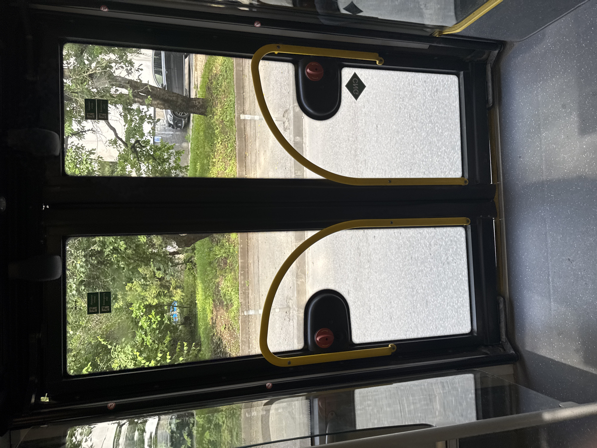 The image presents an interior view from a public transport vehicle, likely a bus or trolleybus, looking outwards through its closed double doors during daytime. The doors feature black frames and large clear glass panes.
Inside the vehicle, two prominent yellow, curved grab bars are attached to the doors, arching downwards to a black housing on each door, each containing a red circular emergency release button or mechanism. The vehicle's floor is a speckled grey, industrial-grade surface, typical of public transport. On the upper part of the left door's glass, two rectangular stickers with green pictograms and Cyrillic text (translated as "Exit" and "Emergency Open") are visible. On the lower right pane of the right door, a diamond-shaped sticker with mirrored Cyrillic text "СИО" is present.
Through the left door, a dense expanse of green foliage, comprising various trees and bushes, dominates the view. A faint blue object is partially obscured deeper within the foliage. Through the right door, an urban scene unfolds. Immediately outside the vehicle, there is a narrow strip of grass, followed by a light-colored curb and an asphalt road. A white cylindrical bollard stands on the curb. Beyond the road, a dark-colored sedan or SUV, consistent with a Mercedes-Benz model given the visible wheel design, is parked on the street. It is partially obscured by a tree with light bark and sparse green leaves. In the background, a light-colored multi-story building with some architectural features and a blue utility box or sign on its facade is visible.
The presence of Cyrillic script on the emergency signs and the "СИО" sticker, combined with the typical urban environment and public transport vehicle design, indicates the location is in the city of Sofia, Bulgaria.