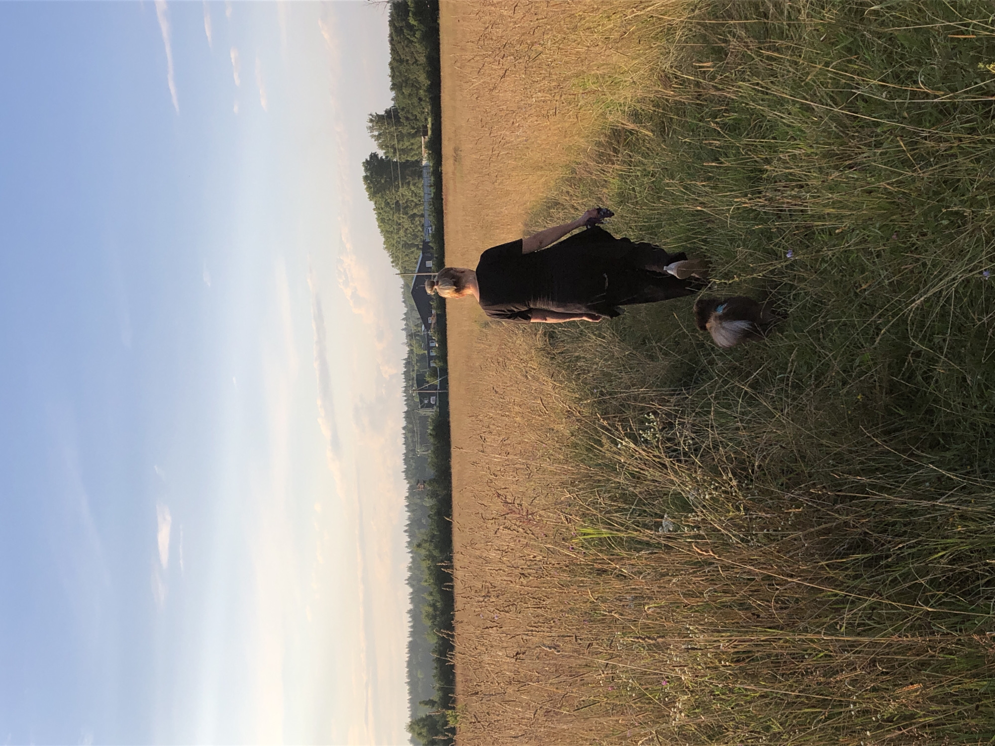 A woman with blonde hair pulled into a bun, wearing a black t-shirt and black pants, walks away from the camera on a path through a field of dry, golden grass. She is holding a purple scarf in her right hand. A small, brown dog with a blue collar follows her. In the background, a line of green trees borders the field. Beyond the trees, structures and a hazy sky with pale clouds are visible. The lighting suggests it is late afternoon or early evening. The location is Makeikha, Russia.