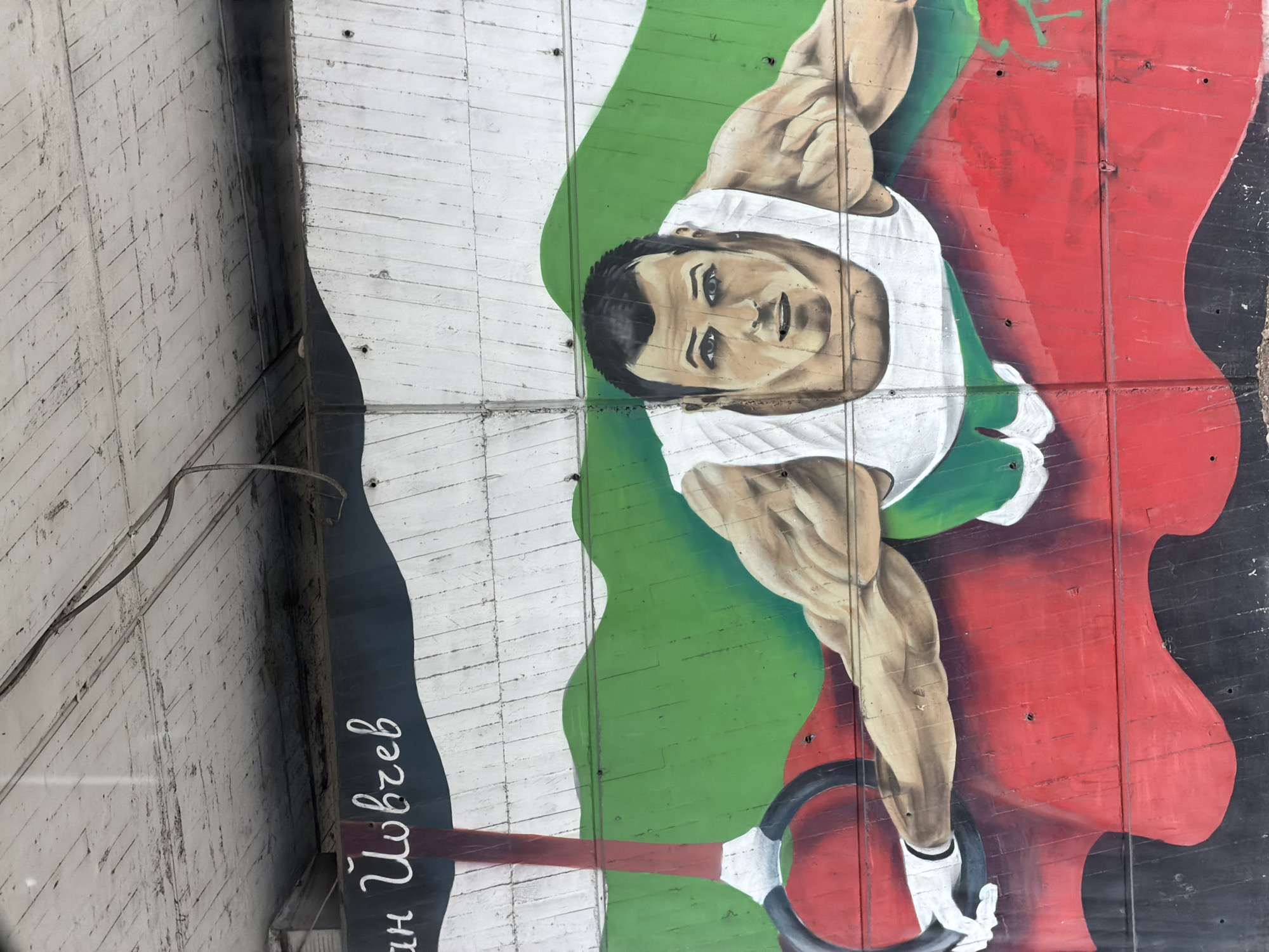 The image shows a mural on a concrete wall. The mural depicts a male gymnast performing on the rings. He is wearing a white tank top and white hand grips. The background consists of the colors of the Bulgarian flag: white, green, and red. To the left, there is text written in white Cyrillic letters, presumably the name of the gymnast, Ivan Jovchev. The concrete wall behind the mural is visible. This is located in the city of Sofia, Bulgaria.