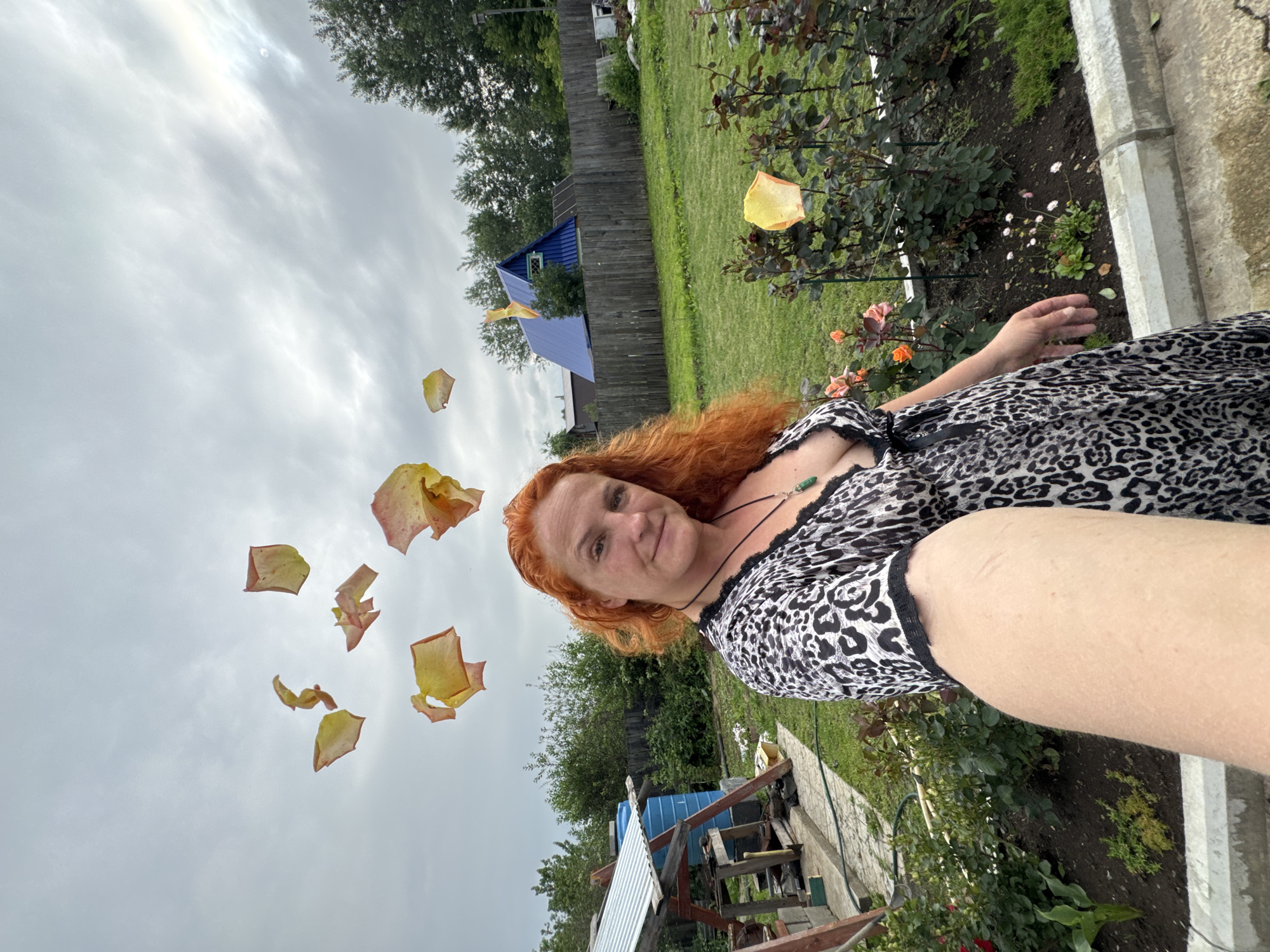 A woman with bright red hair is taking a selfie outdoors in a garden. She is wearing a black and white leopard print dress with lace trim. Petals are scattered in the air around her, appearing to be falling from a nearby rose bush. The background shows a grassy yard, a wooden fence, a blue-roofed structure, and more rose bushes with pink and yellow blooms. The sky is overcast and cloudy, suggesting it may be a cooler day or early morning/late evening. The overall impression is a candid moment captured in a natural, perhaps slightly rustic, setting. The location is identified as Chaikovsky, Russia. There is no visible text in the image.