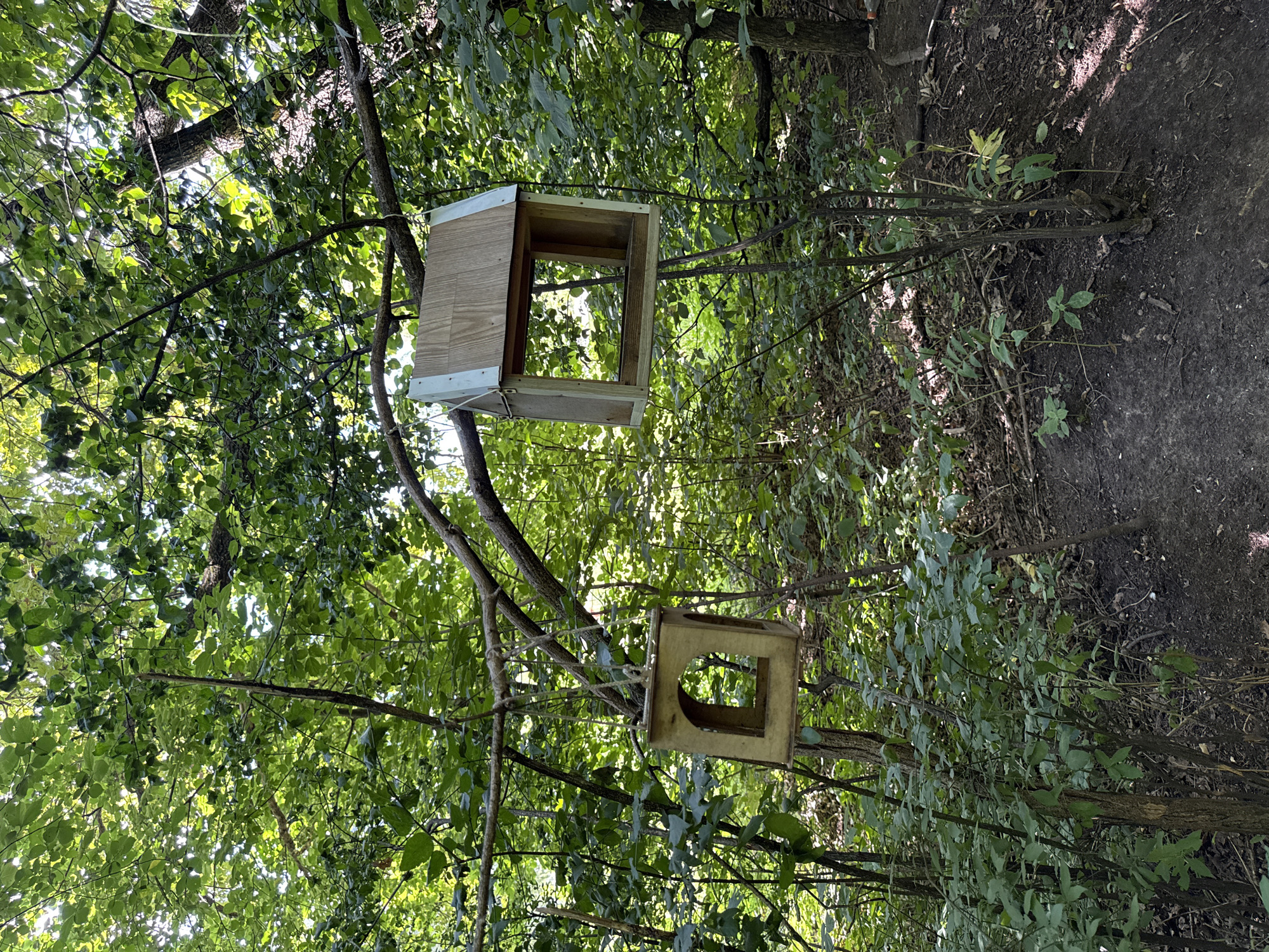 The image depicts a wooded area, likely a park or natural reserve, with two wooden bird feeders hanging from tree branches. The feeders are rectangular with open fronts. One feeder is a simple open box, while the other has a sloped roof. Dense green foliage surrounds the feeders, with sunlight filtering through the leaves. The ground is covered in dirt and fallen leaves. There are no people or animals visible in the image. The scene appears to be in a natural outdoor setting, consistent with areas found in Kazan, Russia, such as the Gorky Park or the forest surrounding the city.