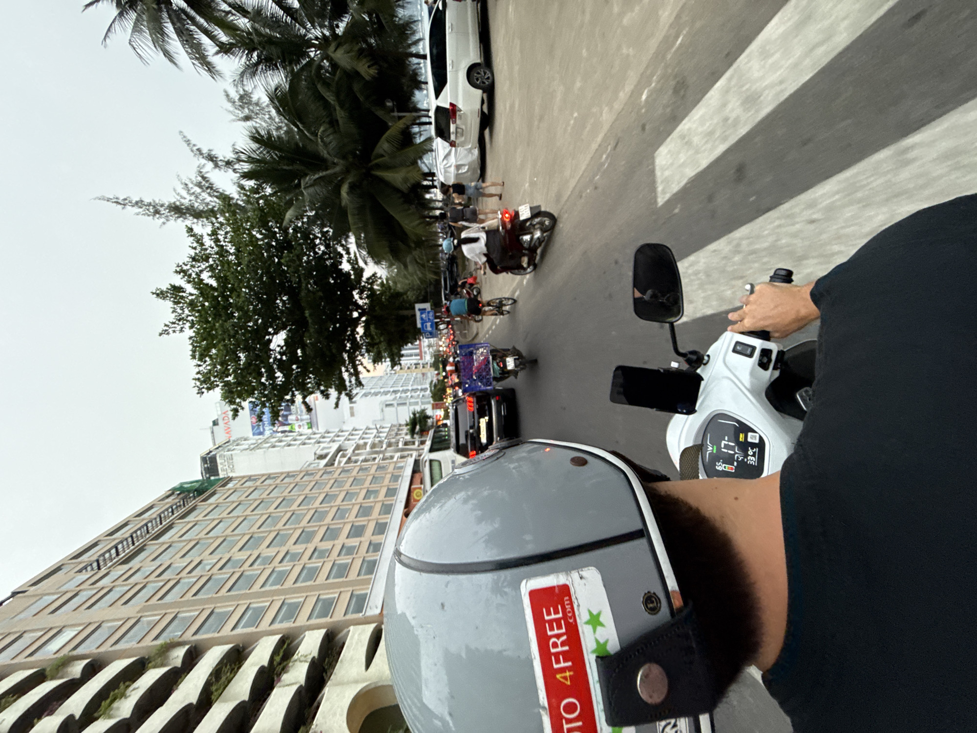 The image captures a first-person perspective from someone riding a white scooter on a city street in Bac Nha Trang Ward, Vietnam.
In the immediate foreground, the rider's right arm, clad in a black t-shirt, rests on the scooter's handlebar. Their grey helmet is visible, adorned with a red and white sticker. The scooter's white dashboard shows digital readouts, including "17-" and "39°C". The street ahead features a prominent zebra crossing, indicating a pedestrian area.
The scene is bustling with urban activity. Multiple lanes of traffic are visible, populated by other scooters, a bicycle, and several cars, including a white vehicle parked on the roadside. Pedestrians can be seen walking near the parked car. The environment is rich with tropical foliage, featuring numerous palm trees and other green trees lining the street. In the background, tall, multi-story buildings dominate the skyline, one of which prominently displays partially visible signage for "LAVADA HOTEL".
The sky appears overcast, suggesting either a cloudy day or a time of day when the sun is not directly overhead. The "39°C" reading on the dashboard indicates a high ambient temperature. The sticker on the helmet clearly reads "TO 4FREE.com", likely part of "MOTO 4FREE.com". The overall image portrays a typical busy street scene in a Southeast Asian coastal city.