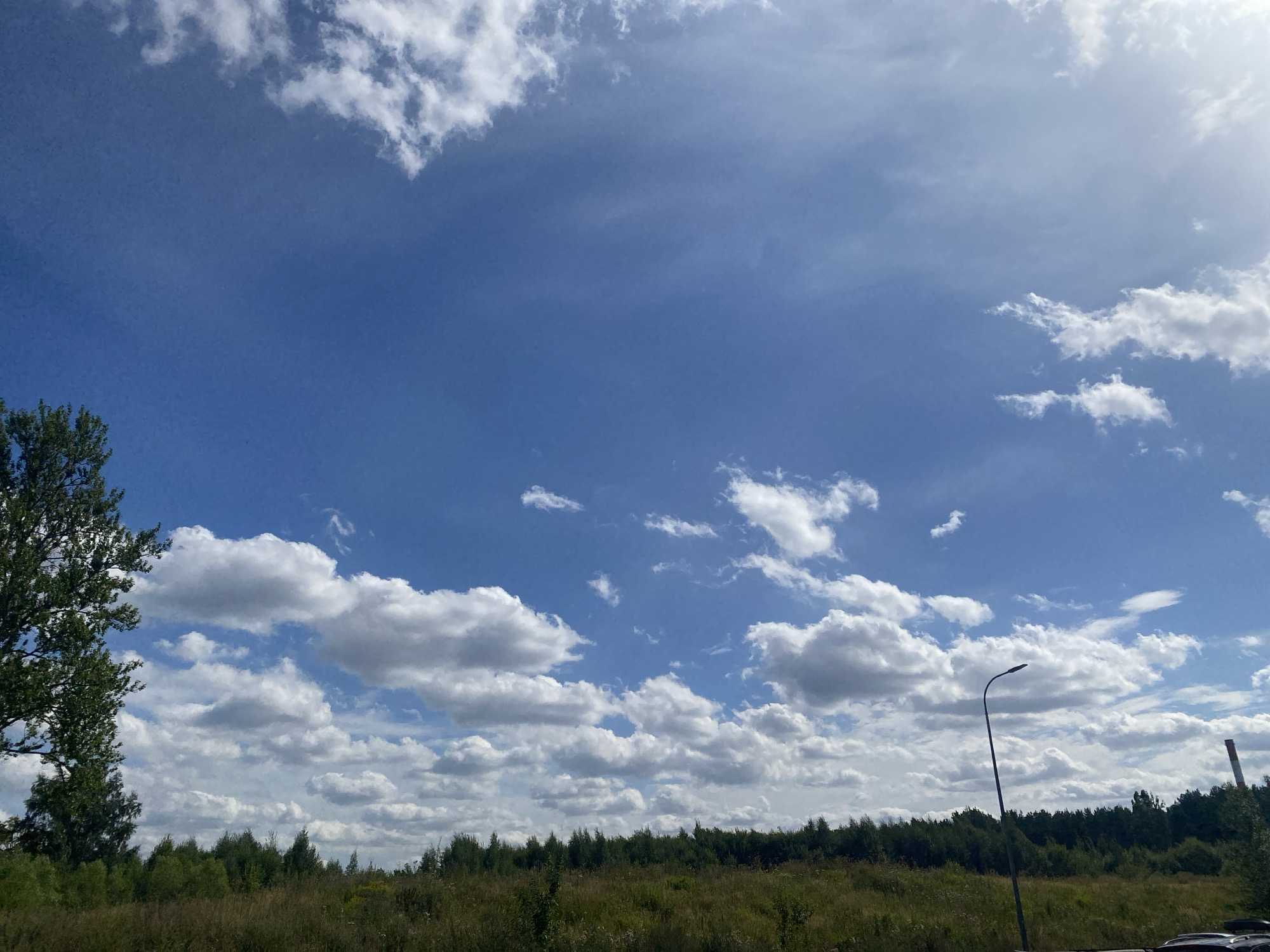 A wide-angle shot captures a vibrant blue sky dotted with fluffy white clouds. The bottom third of the image reveals a dense line of green trees, creating a natural horizon. In the foreground, tall, dry grass stretches across a field. To the left, a large tree with dark green foliage stands prominently. A tall, dark street lamp with a curved arm and a light fixture is positioned on the right side of the frame, extending upwards into the sky. To the far right, a red and white striped industrial chimney is visible against the distant treeline. The scene appears to be an outdoor, natural environment, possibly on the outskirts of a city.