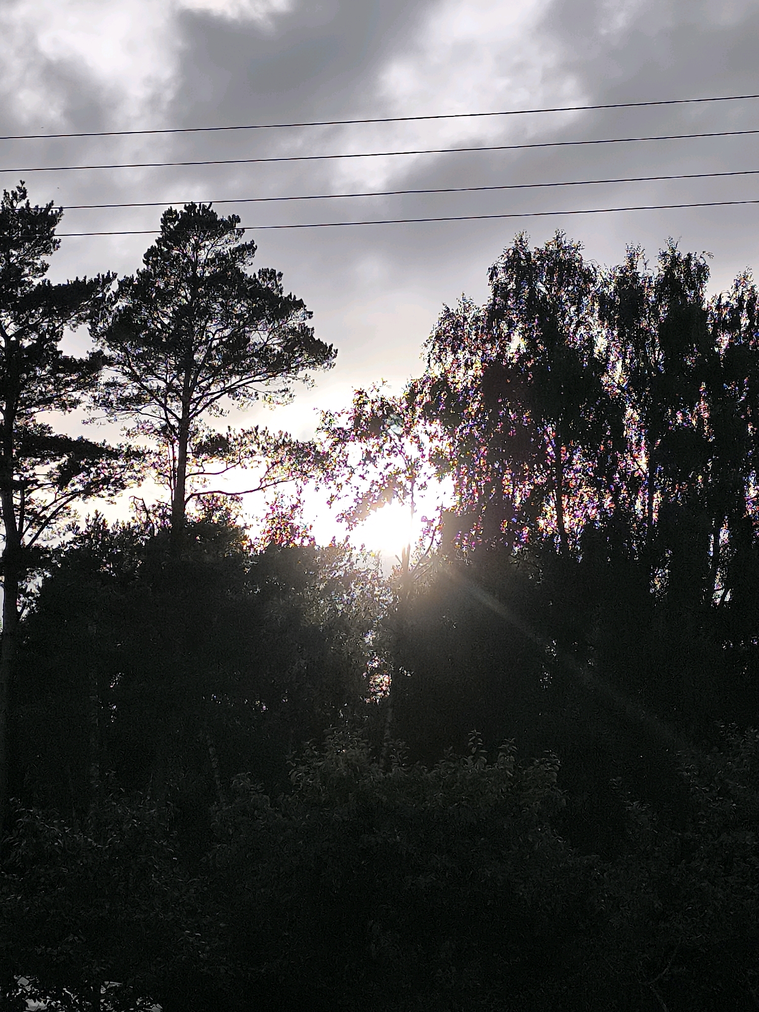 The image shows a silhouetted view of trees against a cloudy sky, with the sun shining through the foliage. Three parallel power lines are visible horizontally across the top of the frame. The trees appear to be in a natural setting, likely in or around Dercekliai, Lithuania, given the context. The overall impression is one of a natural landscape during a possibly overcast day, with sunlight breaking through. There are no people or discernible actions taking place.