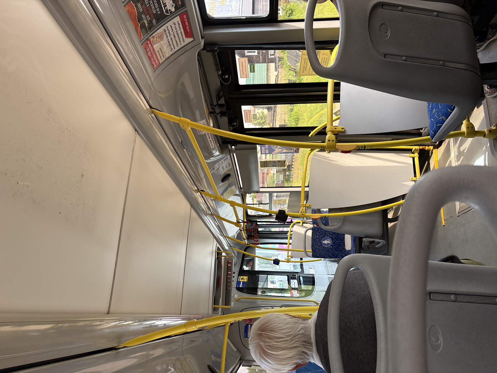The image shows the interior of a bus in motion, with sunlight streaming in through the windows. In the foreground, the back of a person with gray hair is visible, wearing a dark gray sweater. The bus is equipped with yellow handrails and gray seats with blue upholstery. Advertisements are displayed on the interior walls of the bus. Through the windows, a green, grassy area with trees and houses can be seen, indicating a suburban or rural setting. The text on the advertisements is in Russian, and one visible phone number begins with "+7 911", which is consistent with phone numbers in the Novgorod region of Russia. Based on this information and the visual cues, the scene is likely taking place on a bus in or around the settlement of Pankovka, Russia, which is located in the Novgorod Oblast.