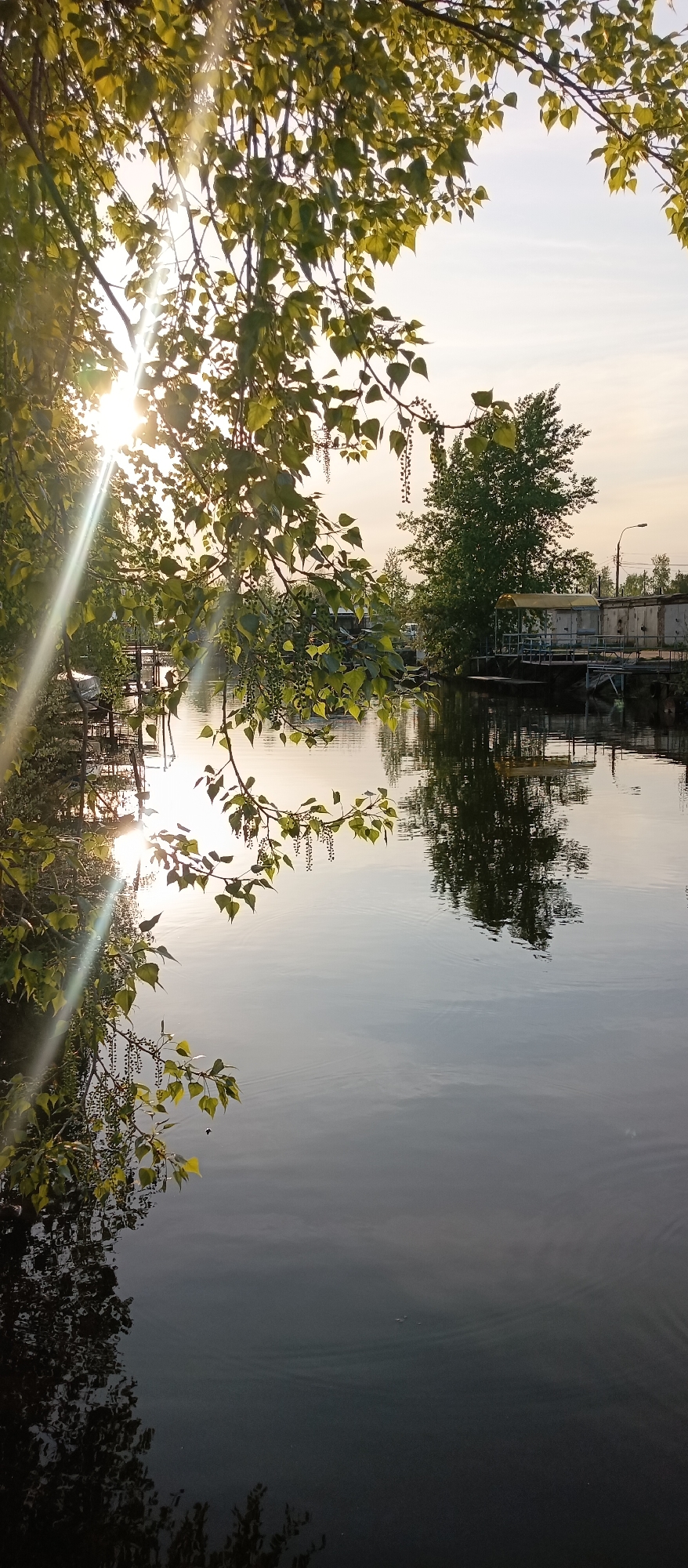 The photograph captures a tranquil scene of a body of water, reflecting the surrounding foliage and sky. The sun is positioned to the left, its light filtering through the leaves of the trees, casting a bright glare and creating lens flares. A tree branch, laden with leaves, dangles into the frame on the left side of the picture. On the opposite bank, there is a structure with a canopy, adjacent to a building. The water appears calm and still, mirroring the trees and the sky. The location appears to be a river or canal, but due to the lack of landmarks and information, it's impossible to identify the specific location in the city of Unknown, Unknown.