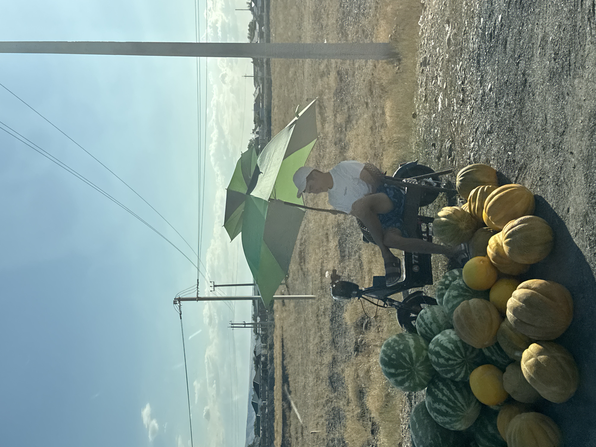 A man wearing a white t-shirt and a white cap sits on a chair attached to a scooter under two green umbrellas. He is in the foreground, to the right of center. In front of him is a pile of watermelons and other large, round fruits, possibly melons, on a gravel surface. The scooter has a license plate that reads "777". Behind the man and the fruit stall is a dry, grassy field with some scattered trees and houses in the distance. Utility poles with wires are visible against a blue sky with some clouds. The scene appears to be a roadside fruit stand on the outskirts of Usharal, Kazakhstan.