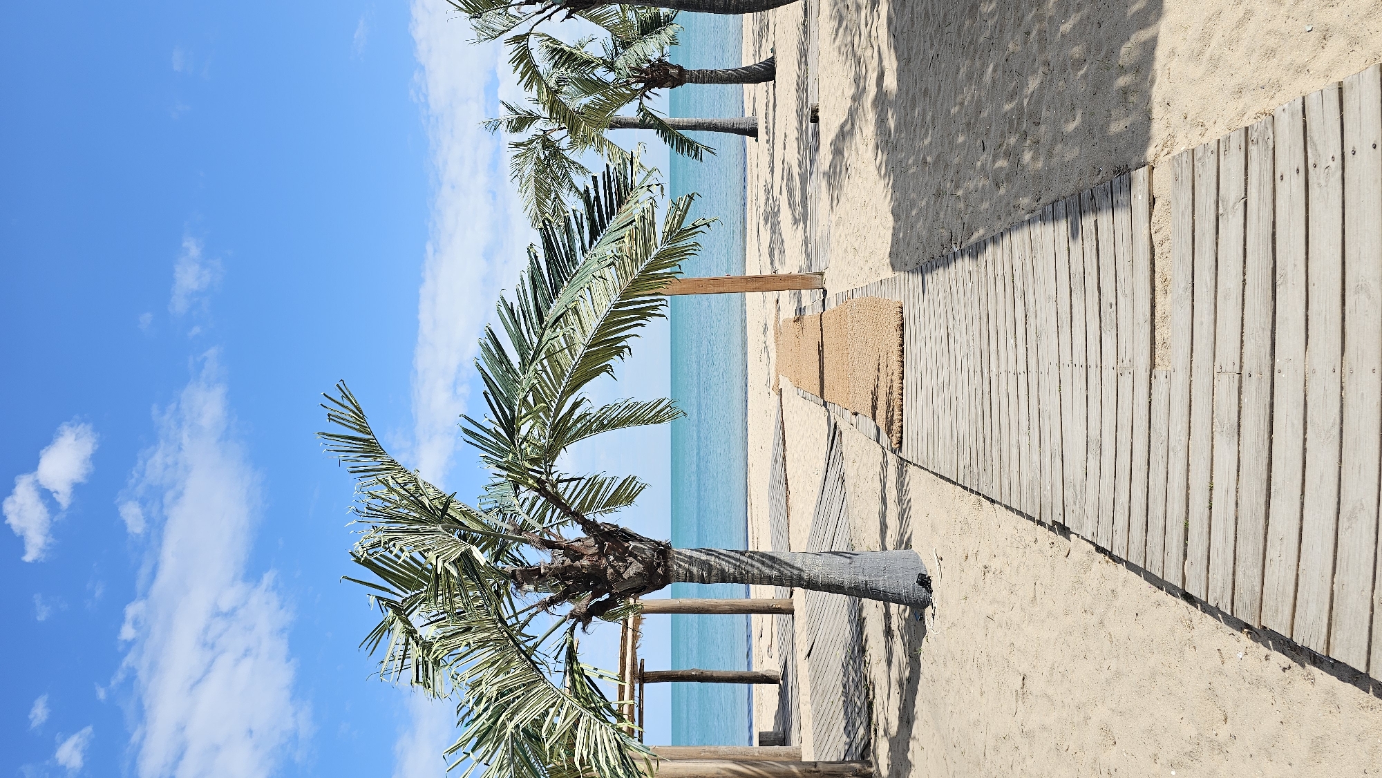 The image depicts a beach scene, likely in Varna, Bulgaria, characterized by a wooden boardwalk leading toward the sea. Two palm trees are visible, one in the foreground with clear details of its trunk and fronds. A blue sky with scattered clouds is overhead. The beach appears sandy, with the boardwalk cutting a path through it. The sea is visible in the background, a clear turquoise color. There are no people visible in the scene.
