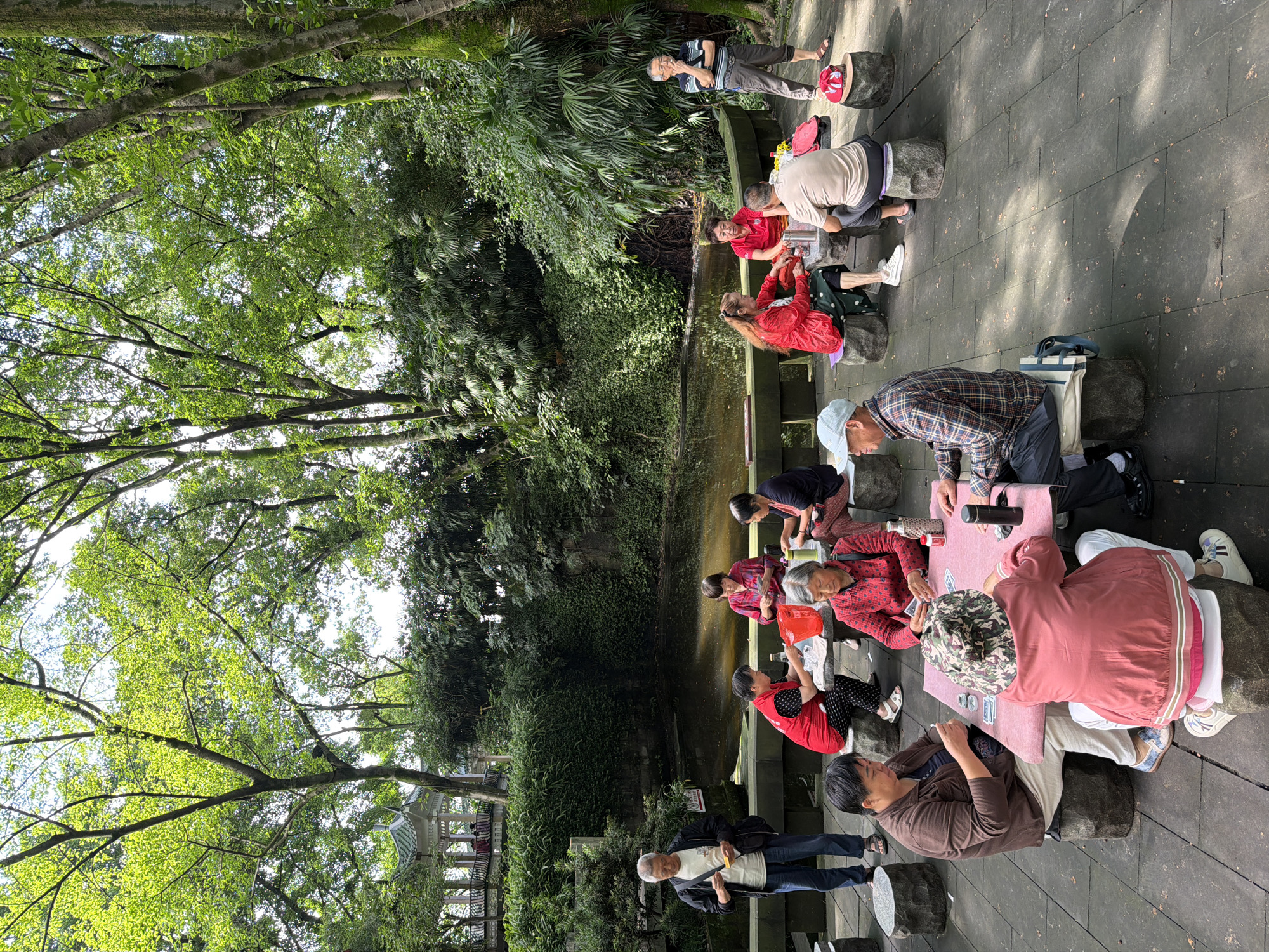 In Yuzhong District, China, several elderly individuals are gathered in an outdoor park setting, playing cards around stone tables and seats. Lush green trees with dappled sunlight form a canopy overhead, with a small pond visible in the background. One man stands by a railing, observing the scene, while others are seated, engaged in their card game. A traditional Chinese pavilion can be seen in the distance, partially obscured by foliage. The atmosphere appears relaxed and social, with people interacting casually around the card games.