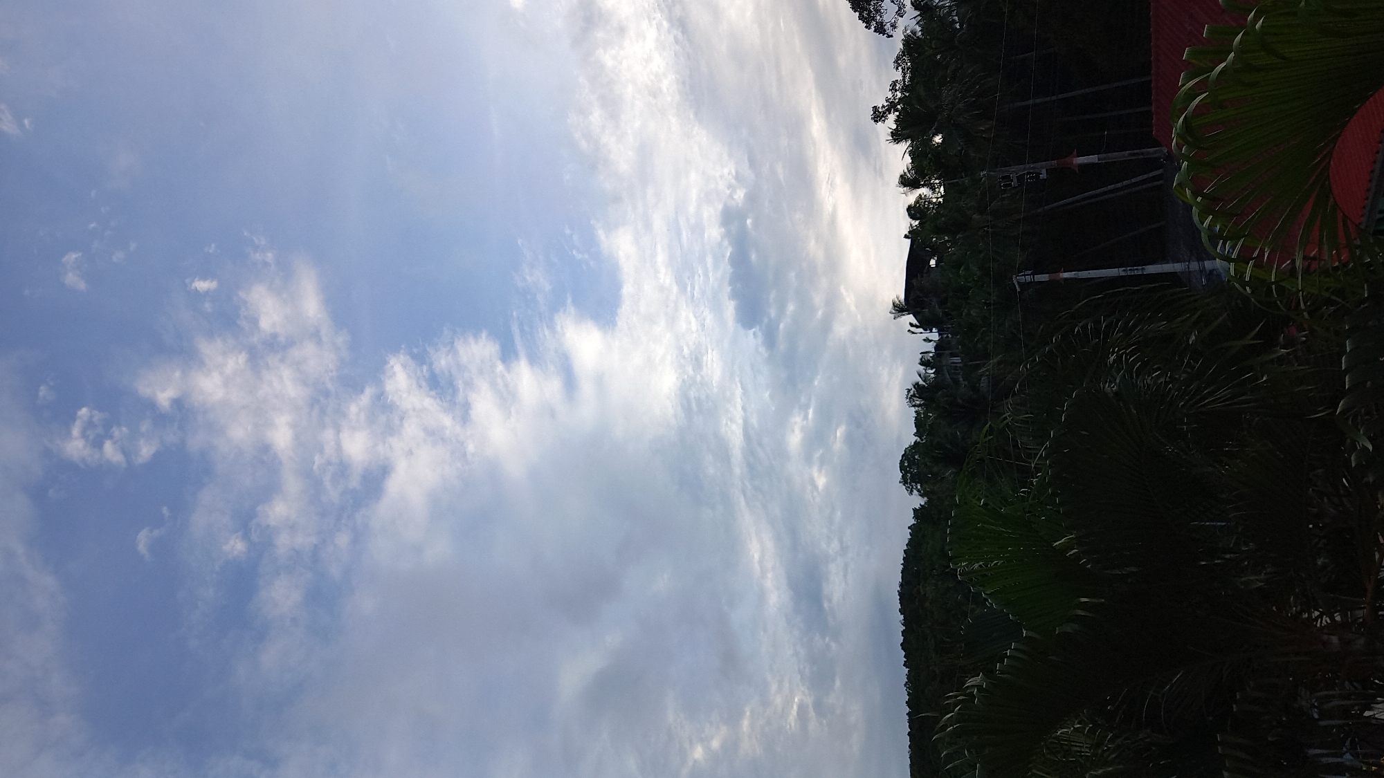 The image depicts a cloudy sky over a lush, tropical landscape in Ko Pha-ngan District, Thailand. The sky is a mix of blue and gray clouds, with some areas of brighter light indicating the sun's position, likely during the early morning or late afternoon. Below the sky, a dense canopy of dark green foliage, including palm trees, covers rolling hills. A few buildings and utility poles are visible through the trees, suggesting a settled area within the natural environment. The foreground features the broad leaves of palm fronds and a portion of a red-tiled roof, framing the scene from a slightly elevated perspective. The overall impression is one of a serene, verdant, and somewhat overcast tropical locale.