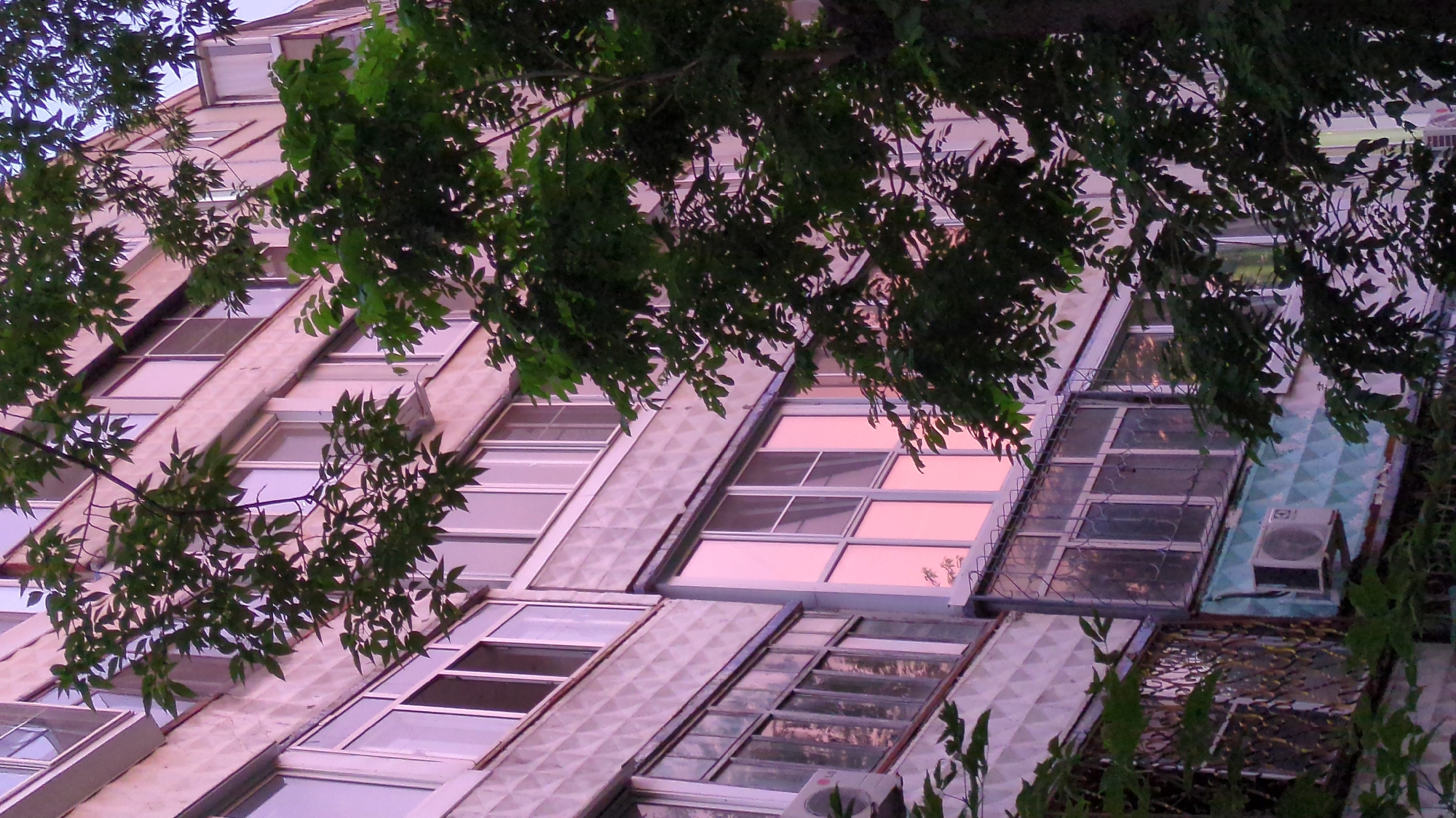 The image depicts a close-up view of a multi-story apartment building in Khabarovsk, Russia, with dense green foliage from a tree obscuring portions of the facade. The building's exterior features a patterned texture in varying shades of light pink and beige. Multiple windows of different sizes and configurations are visible. Some windows are clear, reflecting the sky and surrounding environment, while others are tinted pink, possibly due to sunset lighting. Decorative metal grates are present on some balconies. An air conditioning unit is mounted on one of the lower balconies. The overall impression is that of an urban residential scene, with the natural element of the tree providing a stark contrast to the man-made structure.
