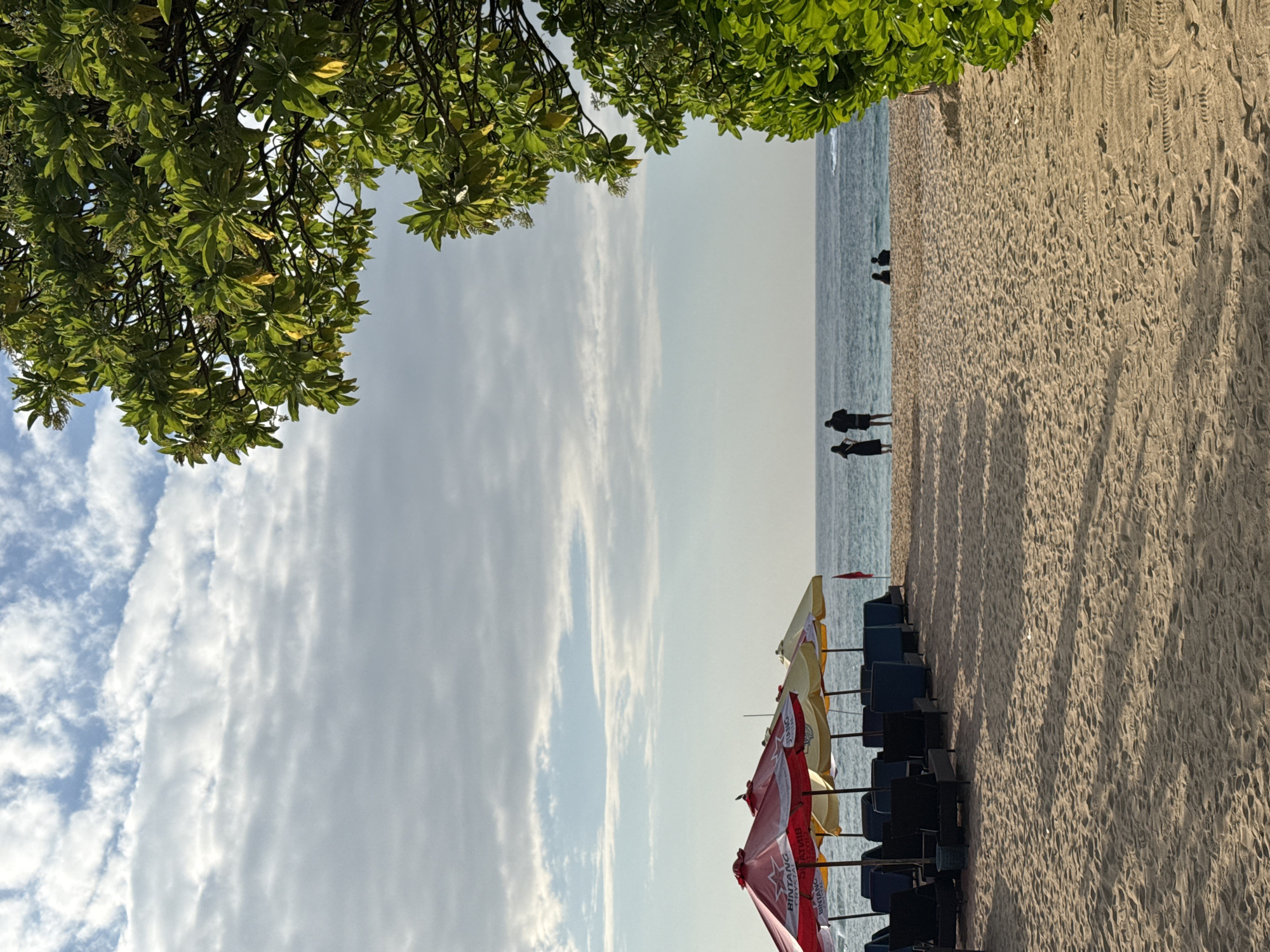 This image captures a beach scene in Kuta Selatan, Indonesia, during what appears to be late afternoon or early morning, characterized by the soft light and elongated shadows on the sand. The sky above is partially covered with white and light grey stratocumulus clouds, revealing patches of pale blue sky. The horizon line separates the sky from a calm, light blue-green ocean with minimal wave activity visible.
In the mid-ground, a sandy beach occupies the lower two-thirds of the frame, showing numerous footprints and undulations. On the left side of the beach, a row of red and yellow beach umbrellas is visible, with "BINTANG CRYSTAL" text clearly legible in white on one of the red umbrellas. Beneath these umbrellas are several dark-colored lounge chairs, some featuring blue cushions. A small green bucket rests beside one of the chairs. A red flag, possibly a warning marker, stands near the water's edge on the left.
In the central mid-ground, two individuals are standing on the sand, facing the ocean, appearing as dark silhouettes. Further to their right and closer to the water, two more individuals are seated or reclining on the sand, also appearing as dark silhouettes.
The right side of the image is dominated by a large, leafy green tree, whose dense foliage extends from the upper right corner down the right edge of the frame. The leaves are predominantly dark green, with some lighter green and yellowish leaves visible, illuminated by the sun. Shadows from the umbrellas, chairs, and unseen objects extend diagonally across the sand towards the viewer.