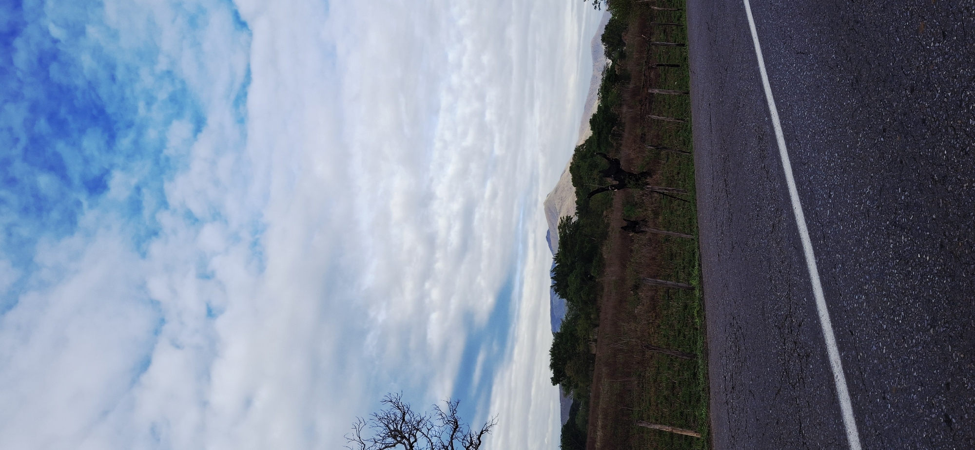 The image captures a serene natural landscape near Vallecito, Venezuela, during what appears to be daytime. A dark asphalt road with a single solid white line marking its edge runs vertically along the right side of the frame, extending into the distance.
To the left of the road, a field of earthy ground with sparse green vegetation stretches out, backed by a line of denser, dark green trees. Several gnarled, dark, and leafless tree trunks or branches are visible within this field, particularly in the mid-ground, suggesting a rugged or aged environment.
In the background, a majestic mountain range dominates the horizon. A prominent, lighter-colored peak is visible towards the center-left, appearing to be sunlit, while other mountains fade into a hazy blue-grey in the distance. The sky above is mostly covered by soft, layered white clouds, with patches of bright blue sky showing through, indicating a partly cloudy day. A distinct, dark, leafless tree in the bottom-left foreground adds depth to the scene.
No people or specific activities are depicted, focusing instead on the expansive natural environment. There is no visible text in the image.