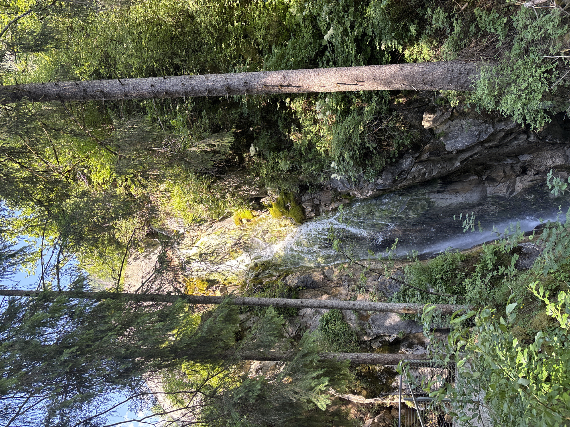 The media file shows a vertical view of a lush, forested area with a waterfall. The scene is dominated by various shades of green from the dense foliage of trees and undergrowth, interspersed with rocky outcrops. Two fallen tree trunks lie horizontally across the frame, creating a sense of natural decay and adding depth to the image.
The waterfall, the central focus of the scene, cascades down a rocky slope, its white water contrasting with the darker rocks and vibrant green moss. Sunlight filters through the trees, illuminating parts of the waterfall and the surrounding vegetation, suggesting it is daytime. The light also creates dappled shadows on the ground and on the tree trunks.
In the lower right corner, a glimpse of a metal railing and part of a gate suggests a man-made element, possibly a viewing platform or a pathway, within the natural landscape. The overall impression is one of a serene, secluded natural environment, typical of a mountain or forest setting. The image evokes a sense of tranquility and the raw beauty of nature. No people or text are visible in the frame. The location context suggests this scene is from Ratschings - Racines, Italy.