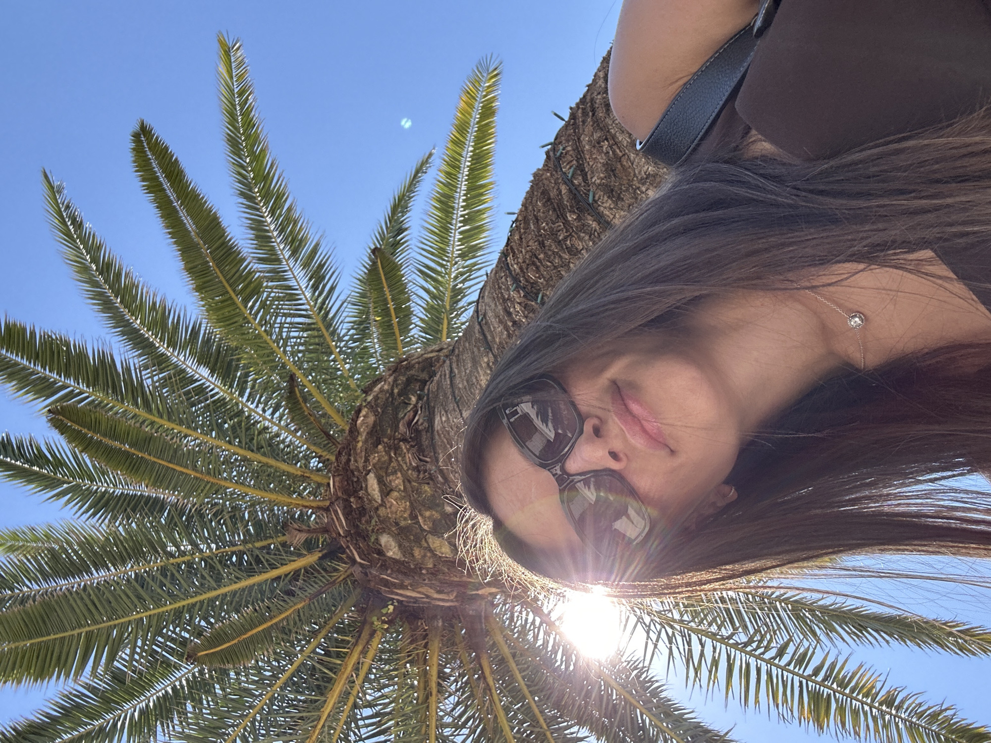 The image is a low-angle, close-up selfie taken outdoors in Donja Lastva, Montenegro, with a large palm tree dominating the background and sky. A young woman, wearing sunglasses and a brown top, is looking up at the camera. The sun is directly behind her, creating a lens flare effect across her face and hair. The palm tree trunk is textured and appears to have some decorative lights wrapped around it. The sky is a clear blue. The woman has long, dark hair and is wearing a delicate necklace with a circular pendant. A portion of a dark bag strap is visible over her shoulder.
