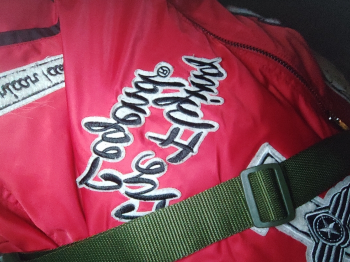 A red jacket is partially visible, featuring embroidered cursive text in black with white outlines, appearing to read "Looney Tunes". The jacket also includes patches with white embroidery and a black stripe. A green nylon strap crosses the jacket, partially covering some details. The strap has a rectangular green plastic buckle.