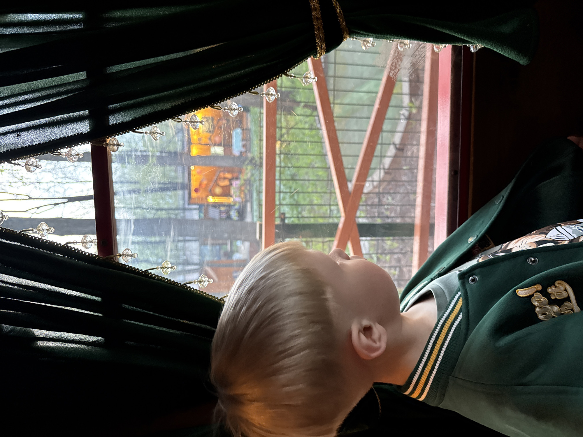 A young blond-haired child, wearing a green varsity jacket with white and gold stripes on the collar and embellished patches, is looking upwards and towards the outside through a window. The window is framed by dark green velvet curtains trimmed with gold cord and dangling crystal beads. Visible through the window are blurry shapes and structures, including light-colored vertical bars. Based on the visual details, this image may be taken in the city of Perm, Russia.