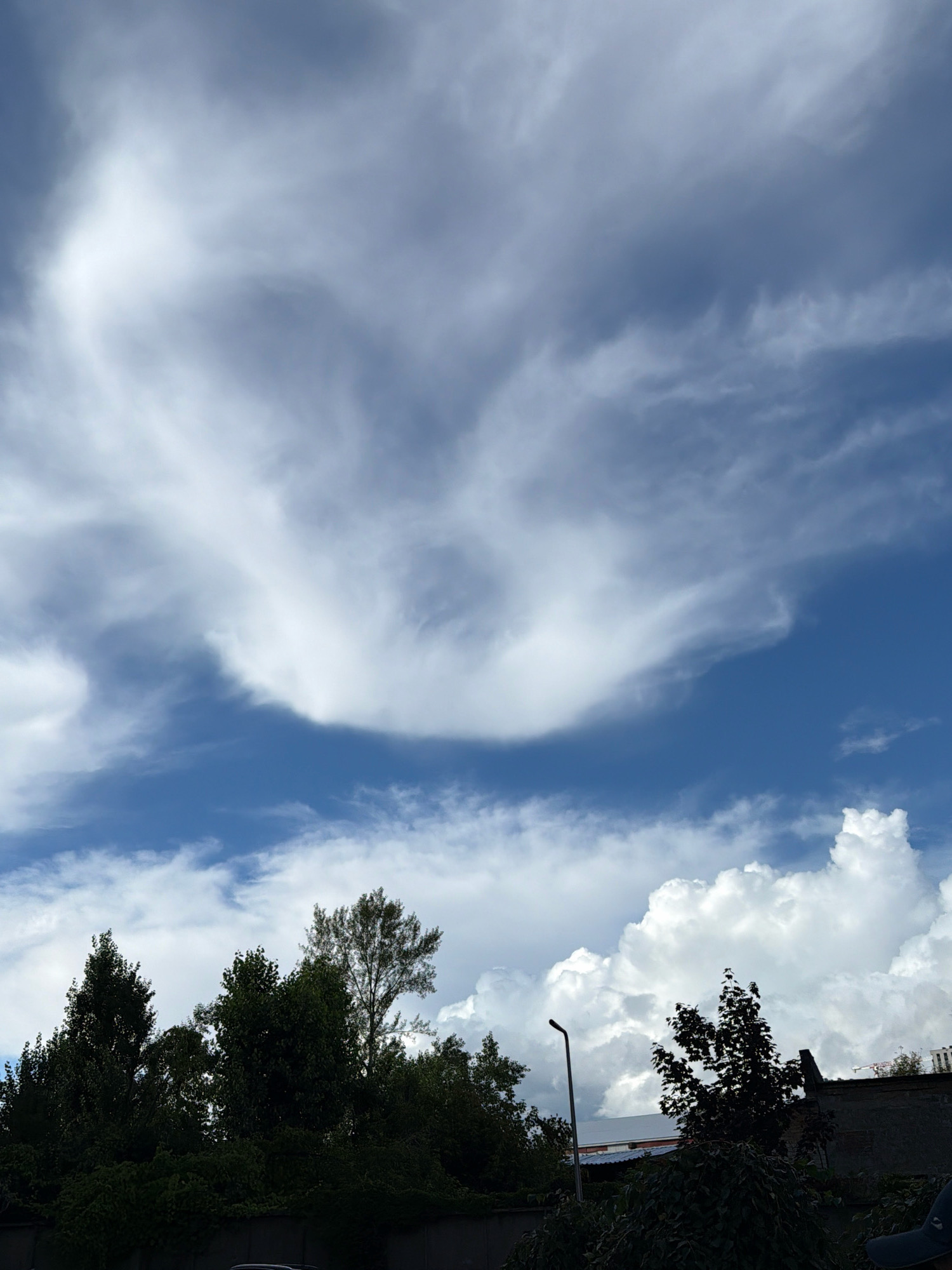 The image depicts a wide, panoramic view of a sky filled with a dynamic cloud formation over a cityscape. Dominating the upper portion of the frame is a large, wispy cirrus cloud, resembling a curved brushstroke of white against a vibrant blue sky. Below this, scattered cumulus clouds appear, with a particularly prominent, fluffy formation on the right side.
The lower third of the image shows the silhouette of trees and buildings. On the left, a dense line of dark green trees forms a natural border, with taller trees interspersed among them. To the right of the trees, a street lamp stands tall. Behind the trees and lamp, parts of buildings are visible, including a dark-tiled roofline and a lighter-colored structure. The overall impression is of a late afternoon or early evening sky, with dramatic cloud patterns over a residential or urban area. The lighting suggests daylight, but with the sun possibly obscured by clouds, leading to the silhouetted effect of the foreground elements. There are no people or specific actions identifiable in the scene. The location is identified as Kyiv, Ukraine.