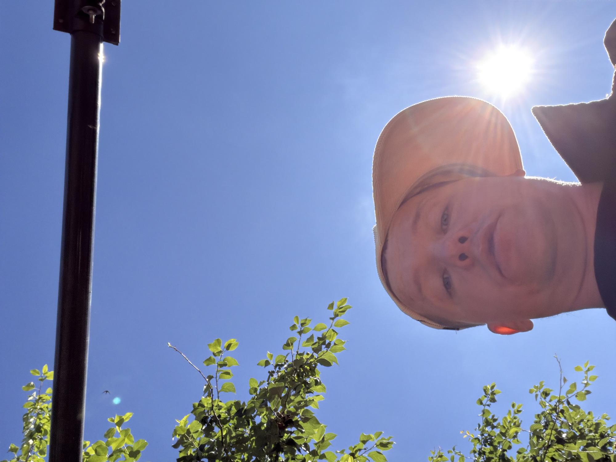 The image shows a first-person perspective of a person wearing a light-colored hat, looking upwards against a bright blue sky. Green foliage from a tree is visible on the left side of the frame. A dark horizontal object, possibly a railing or a beam, stretches across the upper portion of the image. The sun is shining brightly in the sky, causing lens flare. The person's face is partially obscured by the hat and the angle of the shot, but their eyes and nose are visible. The overall impression is of a sunny day. The location is not specified in the image.