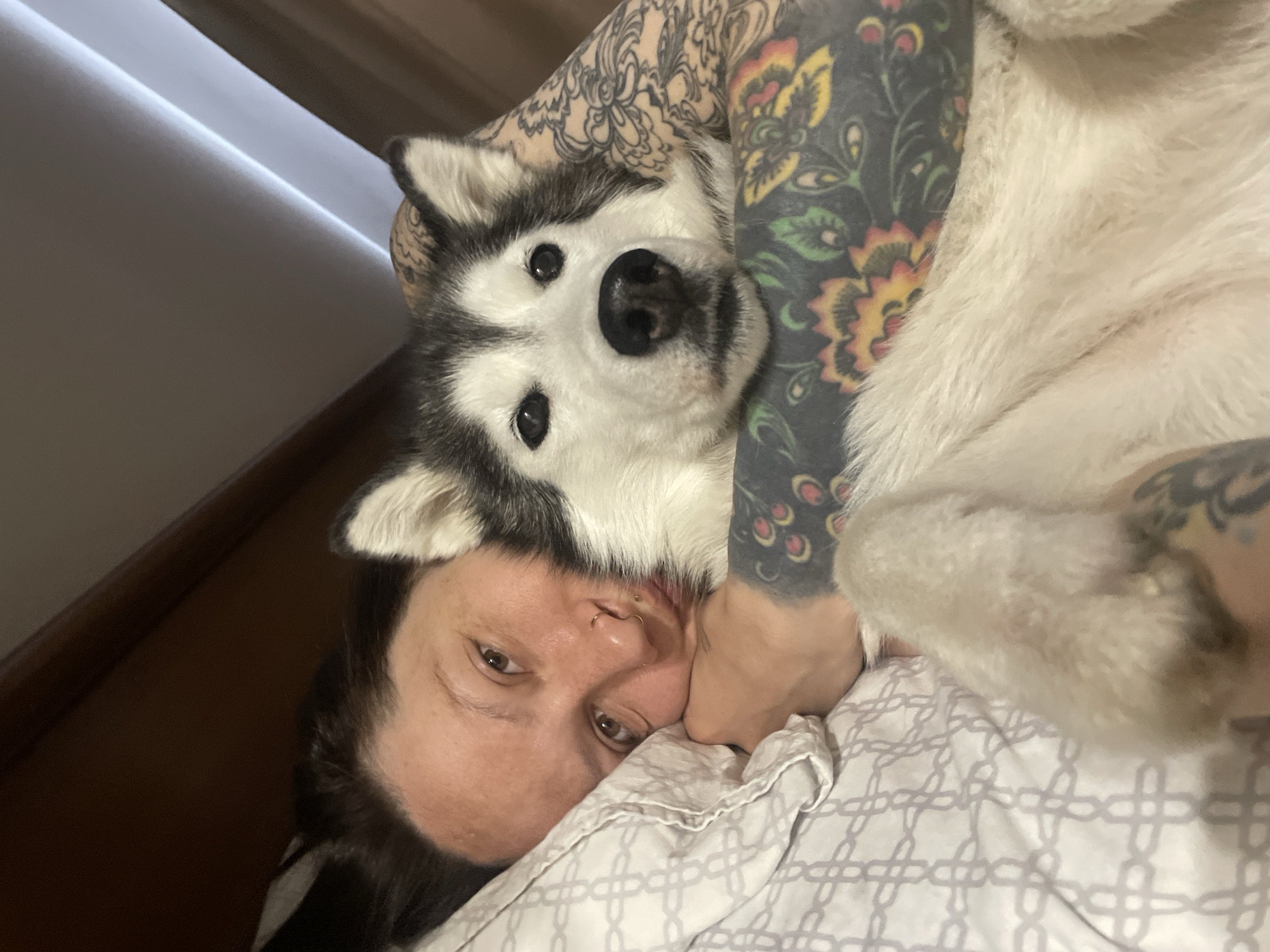 A woman with tattoos on her arm lies on a bed with a white-and-grey patterned comforter, cuddling a husky dog. The dog's head is close to the woman's face. The woman has dark hair and light skin. The location cannot be determined from the image.