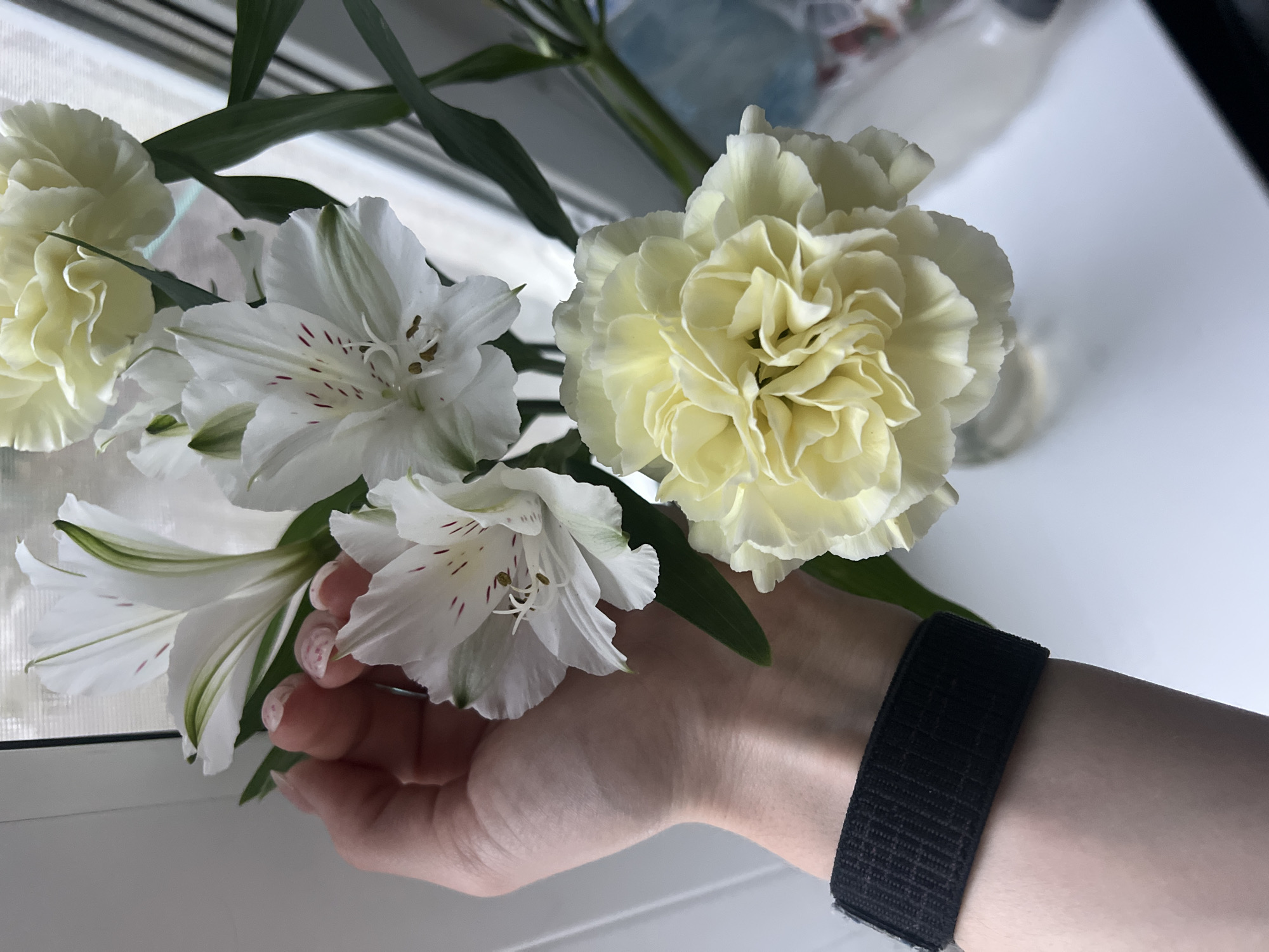 The image displays a close-up of a person's hand holding a bouquet of light-colored flowers indoors, likely in Chaikovsky, Russia. The bouquet consists of several light yellow or cream-colored carnations, characterized by their dense, ruffled petals, and multiple white alstroemerias (Peruvian lilies). The alstroemerias have delicate white petals, some featuring subtle green streaks and distinctive reddish-brown speckles towards their centers.
The visible hand has light skin and short nails, some showing traces of light pink nail polish. A black, textured fabric wristband or strap is worn on the wrist. The flowers are held against a bright, softly blurred background that appears to be a white windowsill or surface. Beyond this, out-of-focus elements suggest a window with vertical blinds or curtains, allowing natural light to illuminate the scene. Further in the background, indistinct shapes, possibly bottles or containers, are visible. The lighting indicates it is daytime. No discernible text or specific emotions are evident in the image.