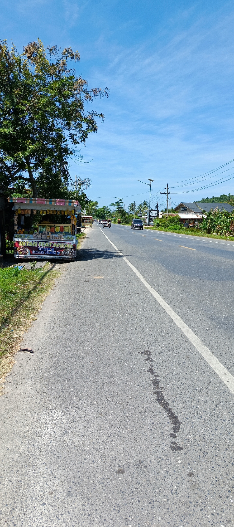 In Lampisang, Indonesia, a roadside scene unfolds under a clear blue sky with scattered white clouds. A colorful fruit stand, adorned with an assortment of fruits and an advertisement for "INTAN FEAT AFILRAH RUJAK & SALAK PLIEK U", is positioned at the edge of a paved road. The road itself is marked with a white dividing line and shows signs of use with a dark, irregular stain. A large tree with green leaves and some dry branches casts a shadow over the scene. Further down the road, vehicles, including cars and a motorcycle, are visible, indicating ongoing traffic. The surrounding environment features lush greenery, trees, and scattered buildings, including one with a "BBC" sign and power lines crisscrossing overhead. A snake is present on the side of the road.
