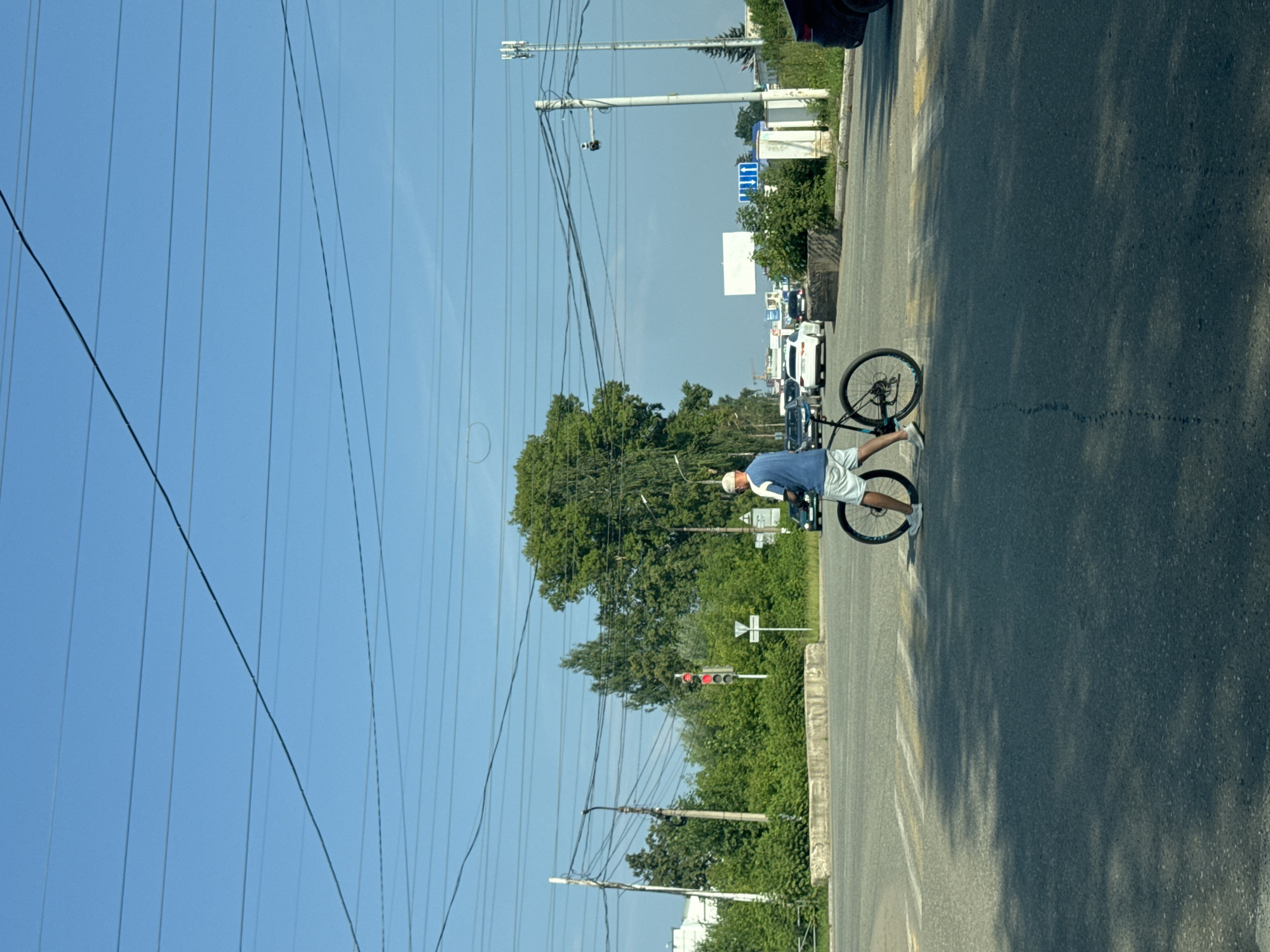 A full-shot, eye-level, outdoor, daytime photograph captures a cyclist at a pedestrian crossing on a sunny day in Chaikovsky, Russia. The cyclist, a person with fair skin, wears a blue t-shirt, white shorts, white sneakers, and a white baseball cap. The cyclist is walking their bicycle, a black-frame model with a blue accent on the rear wheel, across the intersection. The bicycle has two wheels, a seat, handlebars, and pedals. The cyclist is positioned in the middle of the frame, on a paved road with yellow and white pedestrian markings. In the background, several cars are visible, including a white sedan, a black sedan, and other vehicles further down the road, suggesting moderate traffic. The environment includes dense green trees, utility poles with numerous wires, a traffic light displaying red, and street signs. The sky is a clear, bright blue, and the overall scene is illuminated by natural sunlight, casting shadows on the road. The perspective is from a slightly elevated viewpoint, looking towards the intersection and the cyclist.