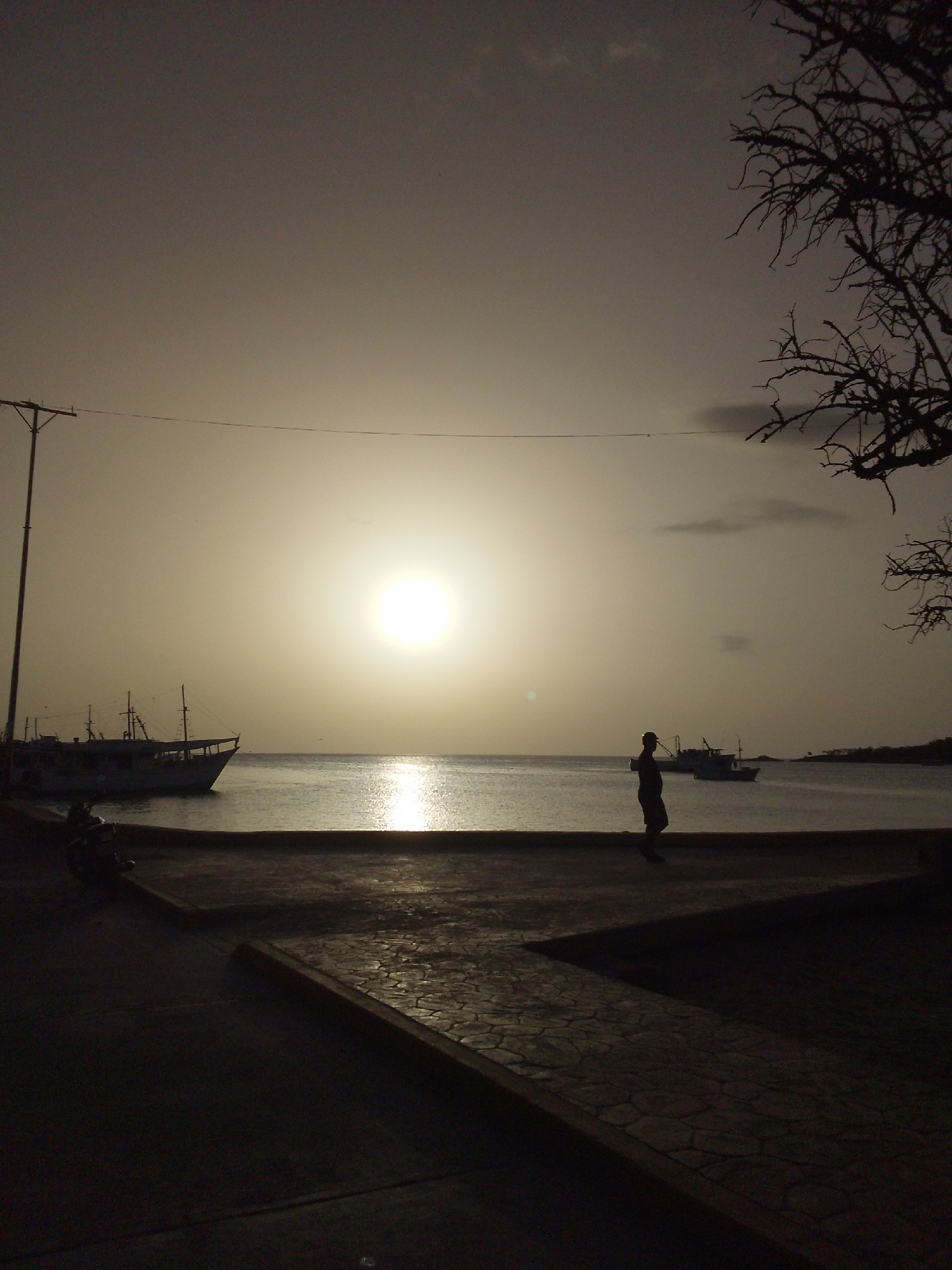 A silhouette of a person stands on a paved walkway beside a body of water. The sun, a bright orb, is setting on the horizon, casting a warm glow and reflecting on the water. Two boats are visible in the distance. A utility pole with wires stretches across the frame, and a silhouetted tree branch hangs in the upper right corner. The lighting suggests it is either dawn or dusk. The scene appears to be a coastal area, possibly a harbor or waterfront. The mood is serene and contemplative. There is no visible text.