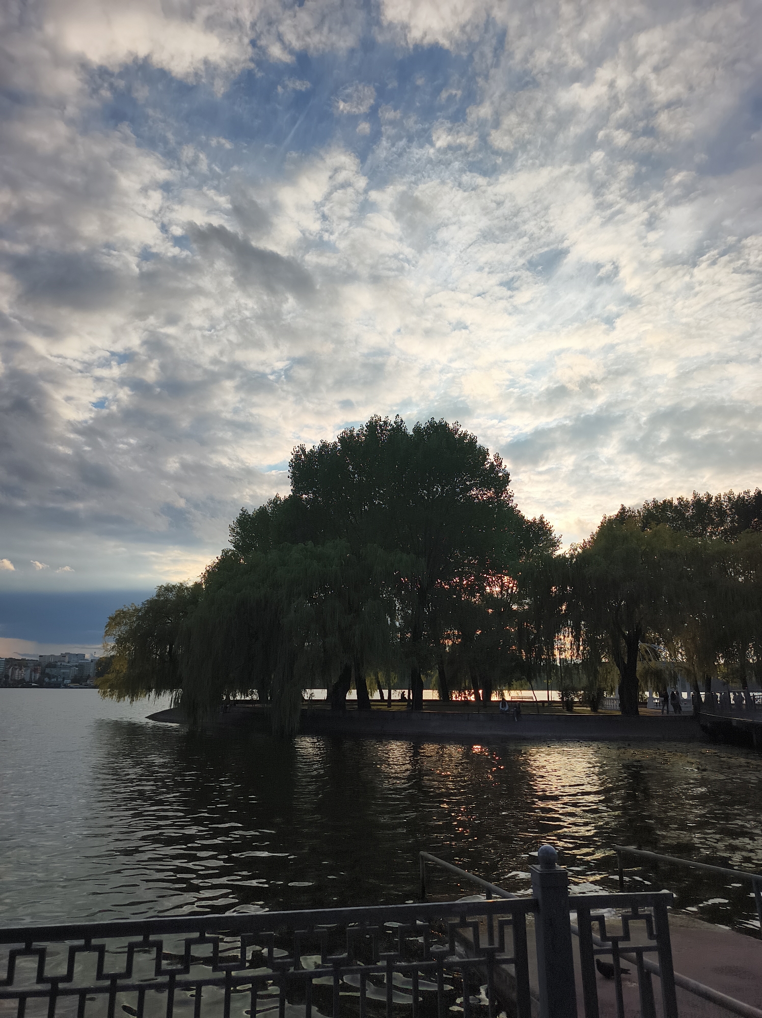 This is a vertical, eye-level, outdoor, medium shot photograph taken at Ternopil Pond in Ternopil, Ukraine. The image depicts a serene evening scene with a body of water in the foreground and a treeline along the far bank. The water is dark and rippled, reflecting the colors of the sky and surrounding trees. A black metal railing runs along the bottom of the frame, with a concrete walkway or pier beyond it.
The treeline consists of several large, mature trees, some with drooping branches that reach towards the water. The foliage is dense and dark green, silhouetting against the muted sunset sky. In the background, on the far bank, a walkway or promenade is visible, lined with more trees and some indistinct figures of people. A cityscape with buildings can be seen in the far distance on the left side of the image.
The sky is filled with a dramatic display of clouds. Wispy, light gray and white clouds are scattered across a pale blue sky, with larger, darker formations adding depth and texture. The setting sun casts a warm glow, creating streaks of orange and yellow light that break through the clouds and reflect on the water's surface. The overall atmosphere of the image is tranquil and peaceful, capturing the beauty of nature at dusk.