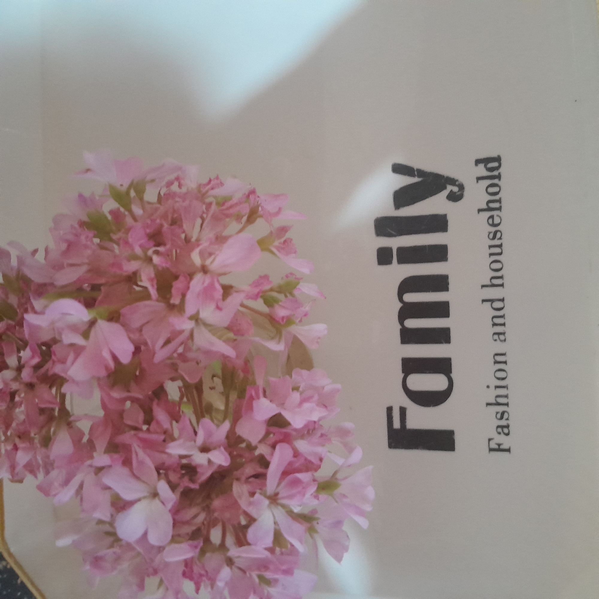 A close-up shot shows a cluster of small, pale pink flowers in the upper left quadrant of the image. The flowers are delicate with multiple petals and appear to be arranged in a dense cluster. Below the flowers, the word "Family" is printed in large, bold, black, sans-serif font. Beneath "Family," the words "Fashion and household" are printed in a smaller, darker gray, serif font. The background is a plain, light-colored surface, possibly paper or fabric, with a soft shadow cast from the upper right corner. The image is set in Astara, Azerbaijan, and is a product shot for a fashion and household goods company. There are no people present in the image.