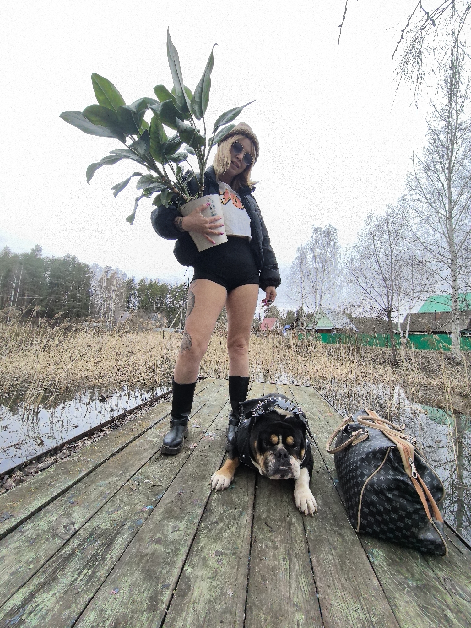 A low-angle, full-shot photograph captures a woman, an English Bulldog, and a duffel bag positioned on a weathered wooden dock in a rural setting, likely Noviy, Russia, under an overcast sky. The scene suggests an early spring or late autumn day, characterized by the landscape.
The woman stands prominently, wearing a black puffer jacket over a white crop top, black high-waisted shorts, black combat boots, round sunglasses, and a light brown beanie. Tattoos are visible on her legs. She holds a large potted plant with dark green, broad leaves in her arms, partially covering a small, colorful sticker on the white pot.
To her right, an English Bulldog with black and tan fur lies calmly on the wooden planks, wearing a studded black harness or jacket. Next to the dog is a black duffel bag with light brown trim and a distinctive monogram pattern, possibly "HIM" or "GIM," repeated across its surface.
The background features a body of water (possibly a pond or marsh) filled with dry, tall reeds. Beyond the water, a sparse forest of bare deciduous trees, including birch, and some evergreen pines extends into the distance. Several small, colorful houses or sheds with green, red, and blue roofs are visible among the trees, suggesting a small settlement. The bright, cloud-covered sky indicates daytime. The overall atmosphere is natural and somewhat rustic.