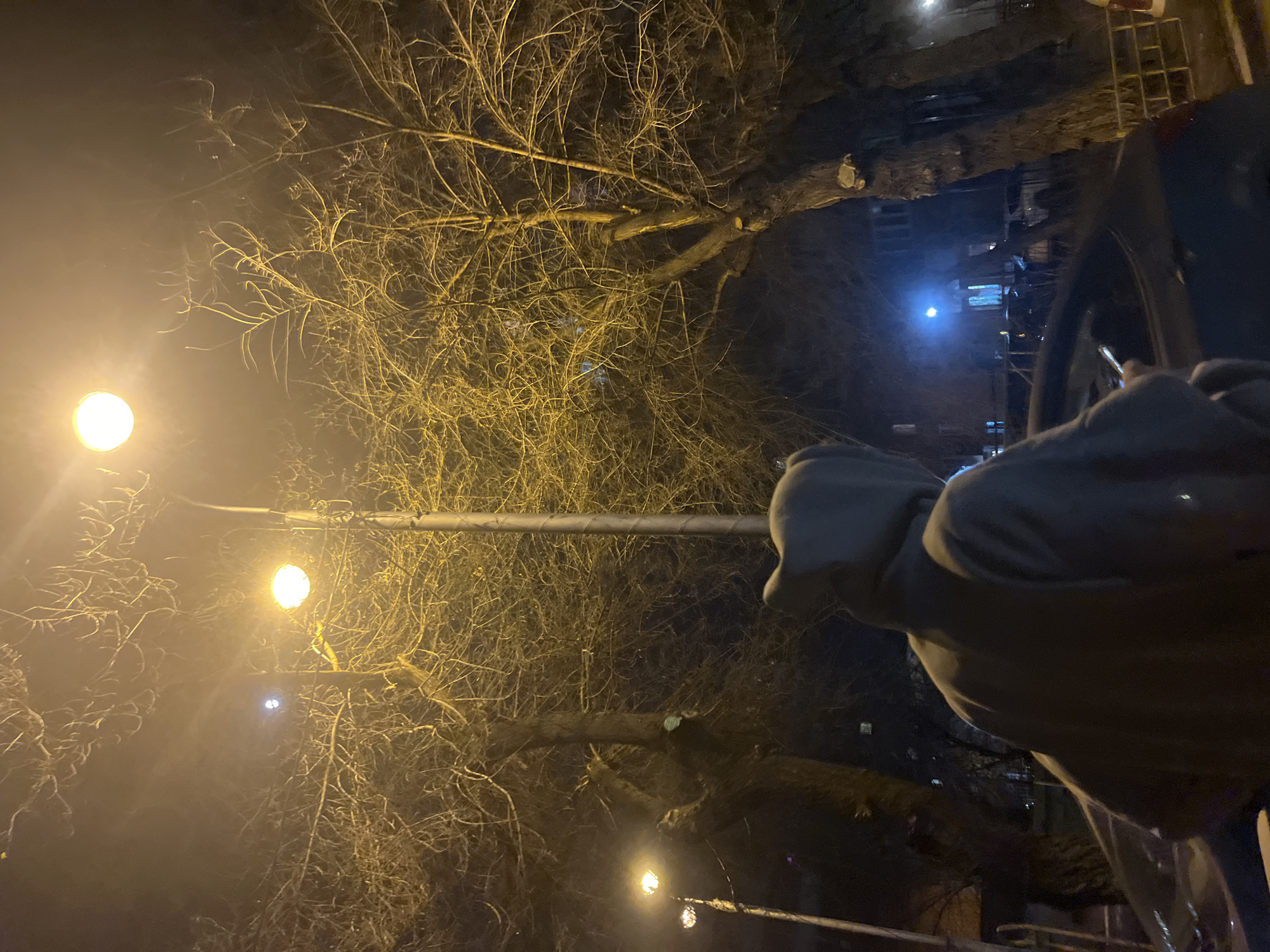 This night-time photograph from Krasnoyarsk, Russia, presents a scene illuminated by artificial lights and dominated by bare trees. On the right, a person wearing a grey hooded sweatshirt is visible from the chest up, seemingly inside a vehicle like a car, with a steering wheel and part of the car's interior visible in front of them. Their right hand appears to be holding a smartphone.
The left and central portions of the image are filled with the dense, intricate network of bare branches from large, deciduous trees, indicating a cold season such as winter or late autumn. These branches are bathed in a warm, golden light emanating from two prominent streetlights mounted on a tall pole on the left. A noticeable atmospheric haze or mist diffuses the light sources, creating soft glows. Further in the background, a smaller, bluer light source is visible, alongside faint outlines of dimly lit buildings. The overall impression is one of quiet solitude in an urban environment at night. There is no visible text in the image.