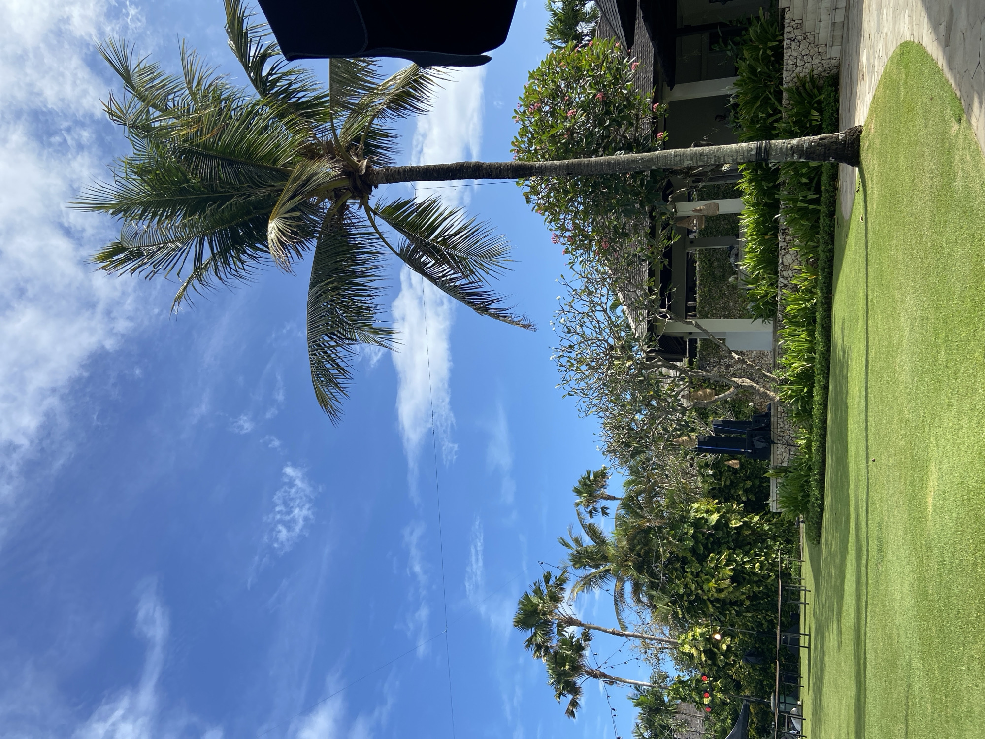 The image shows an outdoor scene in Kuta Selatan, Indonesia, featuring a lush green lawn bordered by dense vegetation and palm trees. In the foreground, a tall palm tree stretches towards a blue sky with scattered white clouds. Adjacent to the lawn are various trees and flowering plants, partially obscuring what appears to be a building structure. The perspective is from a low angle, looking up towards the sky.