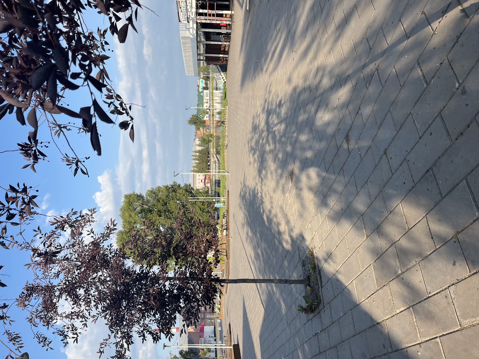 This is an eye-level, outdoor, full shot of a paved plaza with a tree in the foreground. The plaza is made of rectangular grey pavers. A slender, dark-leaved tree with a thin trunk stands in the left-middle ground, casting a shadow across the plaza. In the background, there is a body of water, likely a pond or lake, with a few people visible near the shore. Buildings line the far side of the water, including structures with white exteriors and green roofs. The sky is blue with scattered white clouds. The scene appears to be in the city of Novye Turbasly, Russia.