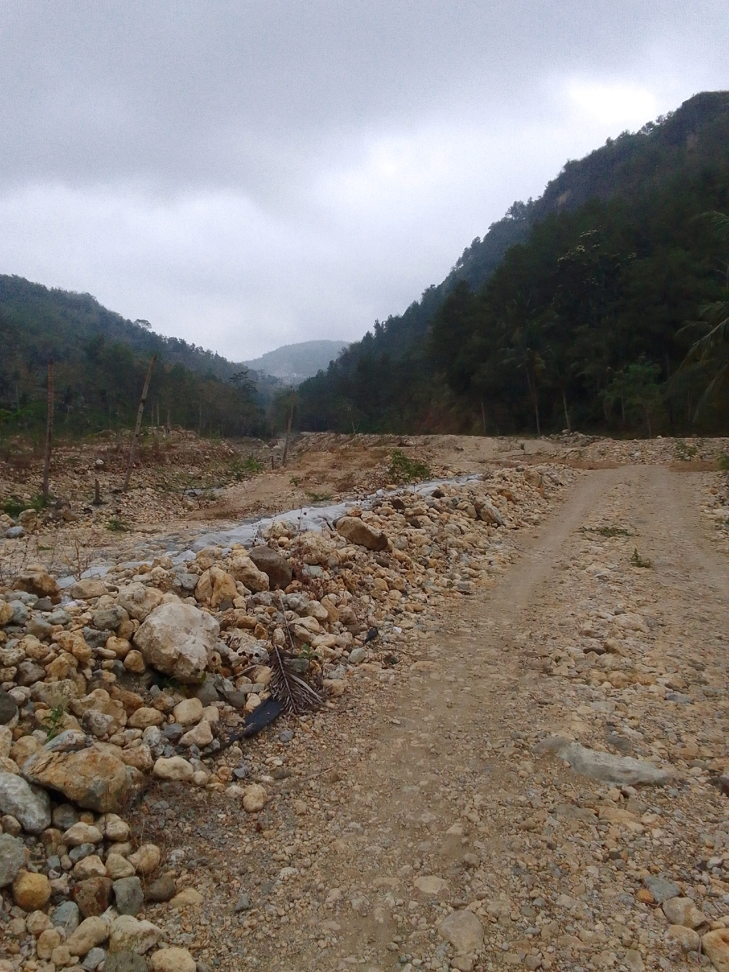 The image depicts a rugged, rocky terrain with a dirt road leading through it. On the left side of the road, a shallow stream or riverbed is visible, filled with numerous stones and some sparse vegetation. The surrounding landscape is hilly and covered with dense green foliage, suggesting a mountainous or rural area. The sky is overcast with heavy, gray clouds. The scene appears to be natural and untouched by significant human development, with the exception of the dirt road. There are no people visible in the image. The environment is characterized by a mix of natural elements like rocks, water, and vegetation, under a somber sky.