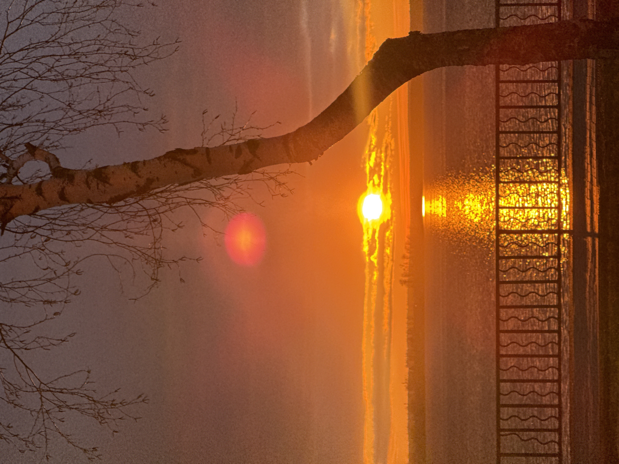 An outdoor landscape image, viewed as if rotated 90 degrees clockwise from its current vertical orientation, depicts a vibrant sunrise or sunset over a body of water in Votkinsk, Russia. The low sun, a brilliant white-yellow orb, is positioned slightly to the left of the center, casting a strong, shimmering reflection across the water towards the foreground.
The sky is awash in warm hues, predominantly vivid oranges and yellows near the horizon, gradually transitioning to softer pinks, purples, and grays higher up and towards the left. A bare, textured tree branch extends diagonally from the upper left corner across the top half of the frame, its dark silhouette providing a stark contrast against the luminous sky.
Along the right edge of the image, a dark metal fence or railing stands vertically, its intricate, wave-like patterns and vertical bars casting a dark outline against the bright, reflective water. The fence appears to be part of a pier, embankment, or viewing area. The water's surface is dappled with light, creating a sparkling, almost granular effect where the sun's reflection is strongest. The overall atmosphere is one of serene beauty and tranquility, capturing a spectacular natural light phenomenon. There is no visible text.