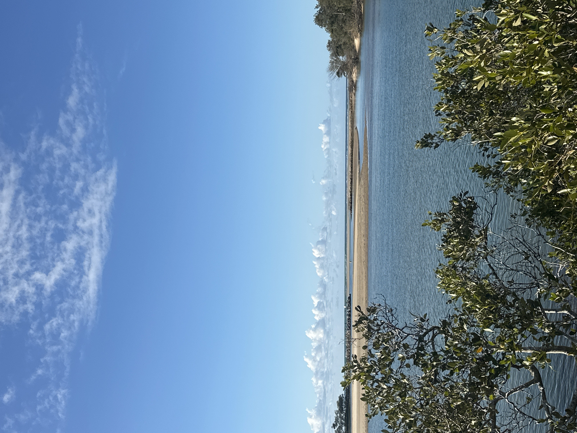This image captures a serene coastal landscape at the mouth of the Nambucca River in Nambucca Heads, Australia. The foreground is dominated by lush green foliage of trees, their branches and leaves framing the view. Beyond the trees lies the tranquil, blue water of the river, reflecting the clear sky above. In the mid-ground, a sandy bank or sandbar is visible, separating the river from what appears to be the ocean. A rock wall or jetty extends into the water, possibly serving as a breakwater or guiding channel. The background reveals a distant shoreline with scattered trees and a bright blue sky dotted with scattered white clouds. The scene suggests a calm day with good visibility.