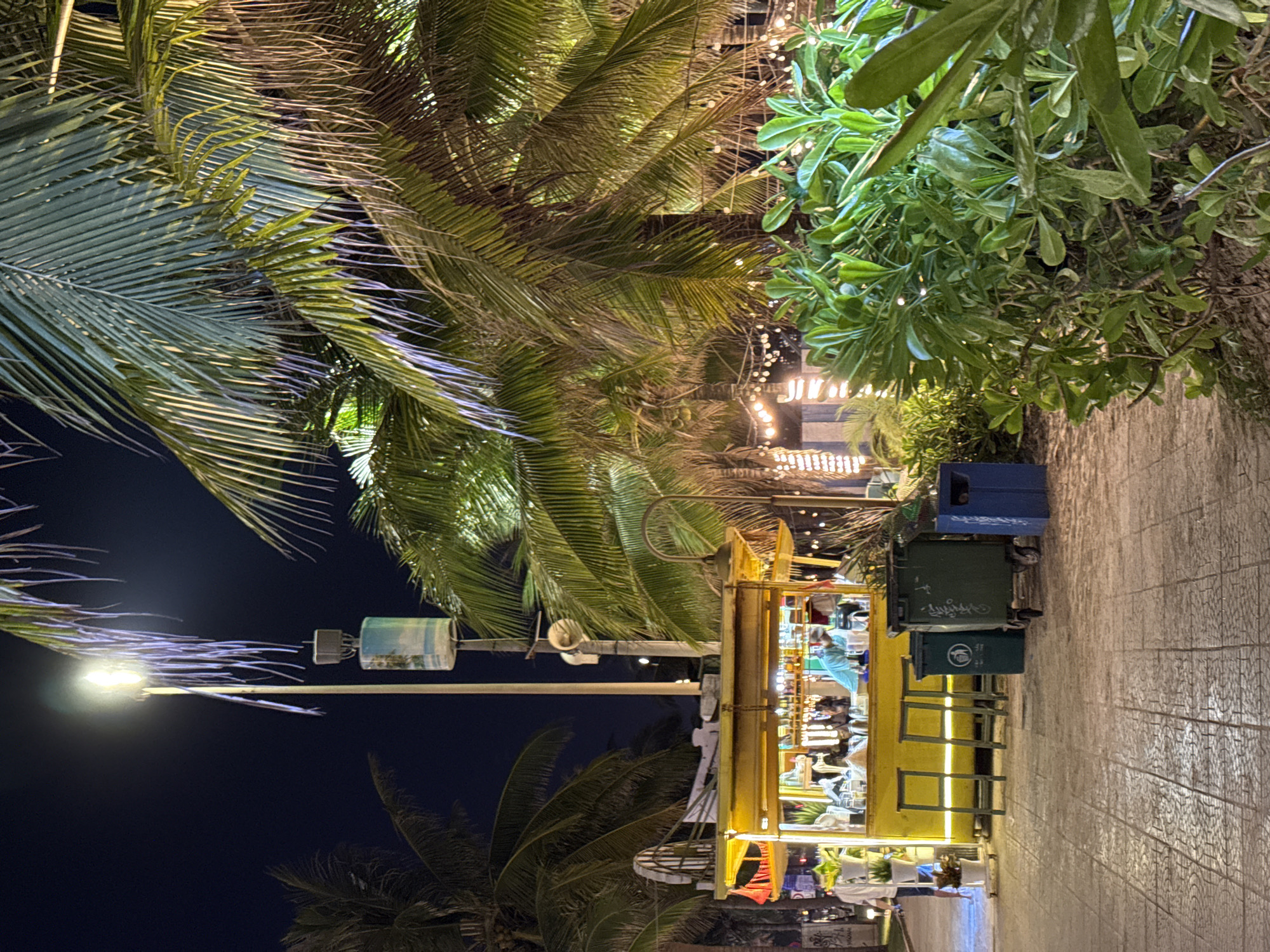 The image presents a vibrant nighttime scene along a paved pedestrian walkway, characteristic of a lively area in Đà Nẵng, Vietnam. Lush tropical vegetation, including numerous palm trees with their distinctive fronds and dense green bushes, frames the path, creating a verdant and inviting environment. The dark night sky is illuminated by various artificial light sources.
On the left side of the path, a bright streetlight on a tall pole casts a strong glow, highlighting the texture of nearby palm fronds. In the middle-right, a prominent yellow vendor stall or kiosk is brightly lit, showcasing its wares. A person, possibly an attendant, wearing a light-colored uniform, is visible behind the counter. Several yellow stools are arranged in front of the stall, suggesting a place for customers to sit. Adjacent to the vendor stall, several green and blue trash bins are positioned, one of which displays a recycling logo and partially legible Vietnamese text, "THU GOM RÁC CỦA ĐÔ THỊ" (Municipal Waste Collection).
Overhead and woven through the foliage, numerous small string lights twinkle, contributing to a festive and warm atmosphere. Further down the pathway, past more green leaves, additional illuminated structures and signs can be glimpsed, with some letters appearing as "JIW..." or "JIN..." but remaining largely indistinct. The path itself is paved with light-colored, patterned tiles, reflecting some of the ambient light. The scene depicts a tranquil yet lively evening, suggesting casual leisure or commerce in a tropical setting.
