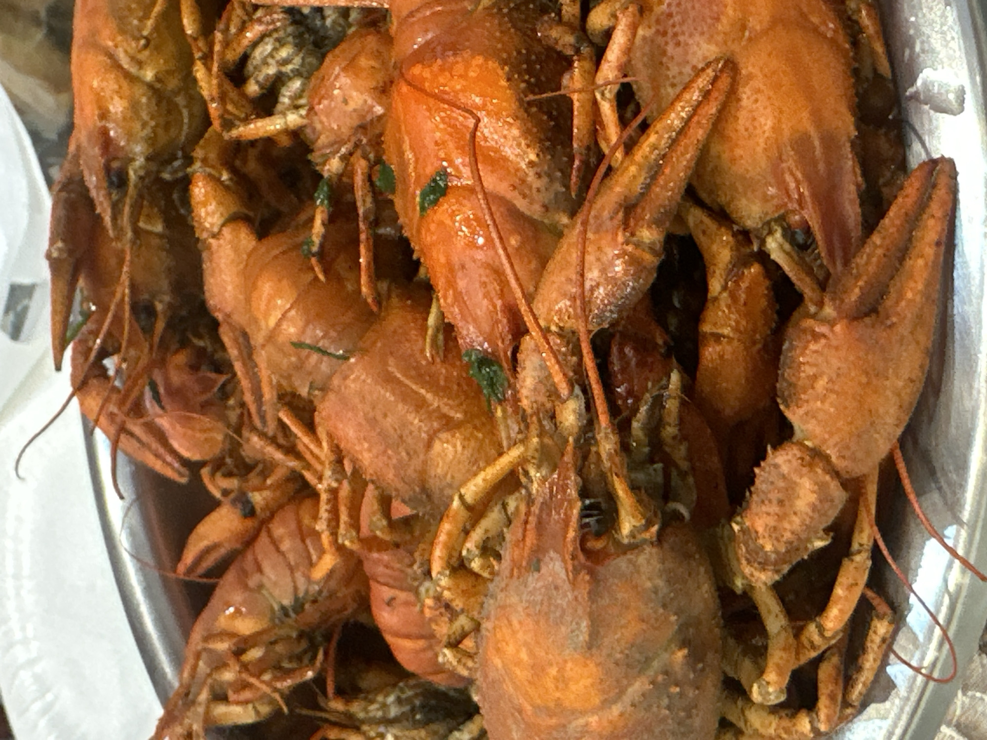 A close-up shot of a metal bowl filled with cooked crawfish. The crawfish are a mix of orange and brownish colors, some with green herbs sprinkled on them. The scene captures the crawfish in detail, showcasing their texture, claws, and legs.