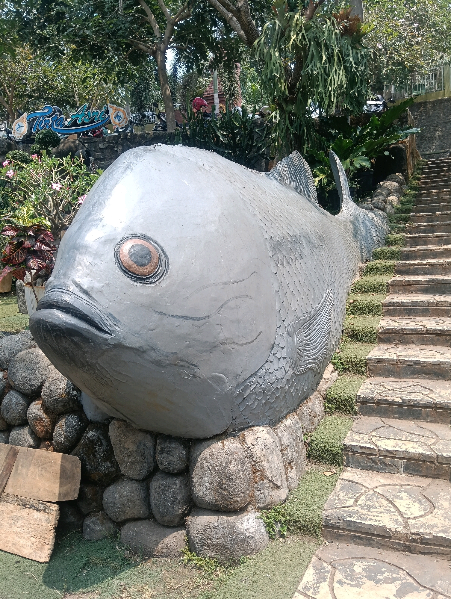A large, grey, stylized fish sculpture is the central focus of the image. The sculpture is positioned at the base of a stone stairway. The fish is made of concrete or a similar material and has detailed scales and fins. Its mouth is slightly open, and its eye is a prominent brown and black circle. The fish rests against a natural rock formation. To the left of the fish sculpture, there are some plants with red and green leaves, and further back, a sign with blue and white lettering that reads "Tirta Asri." The stairway, made of large, flat stones, ascends to the right, with small patches of grass growing between the steps. Lush green trees and foliage surround the scene, suggesting an outdoor environment, likely a park or a recreational area. The overall lighting indicates it is daytime. The location is identified as the city of Sempu, Indonesia.