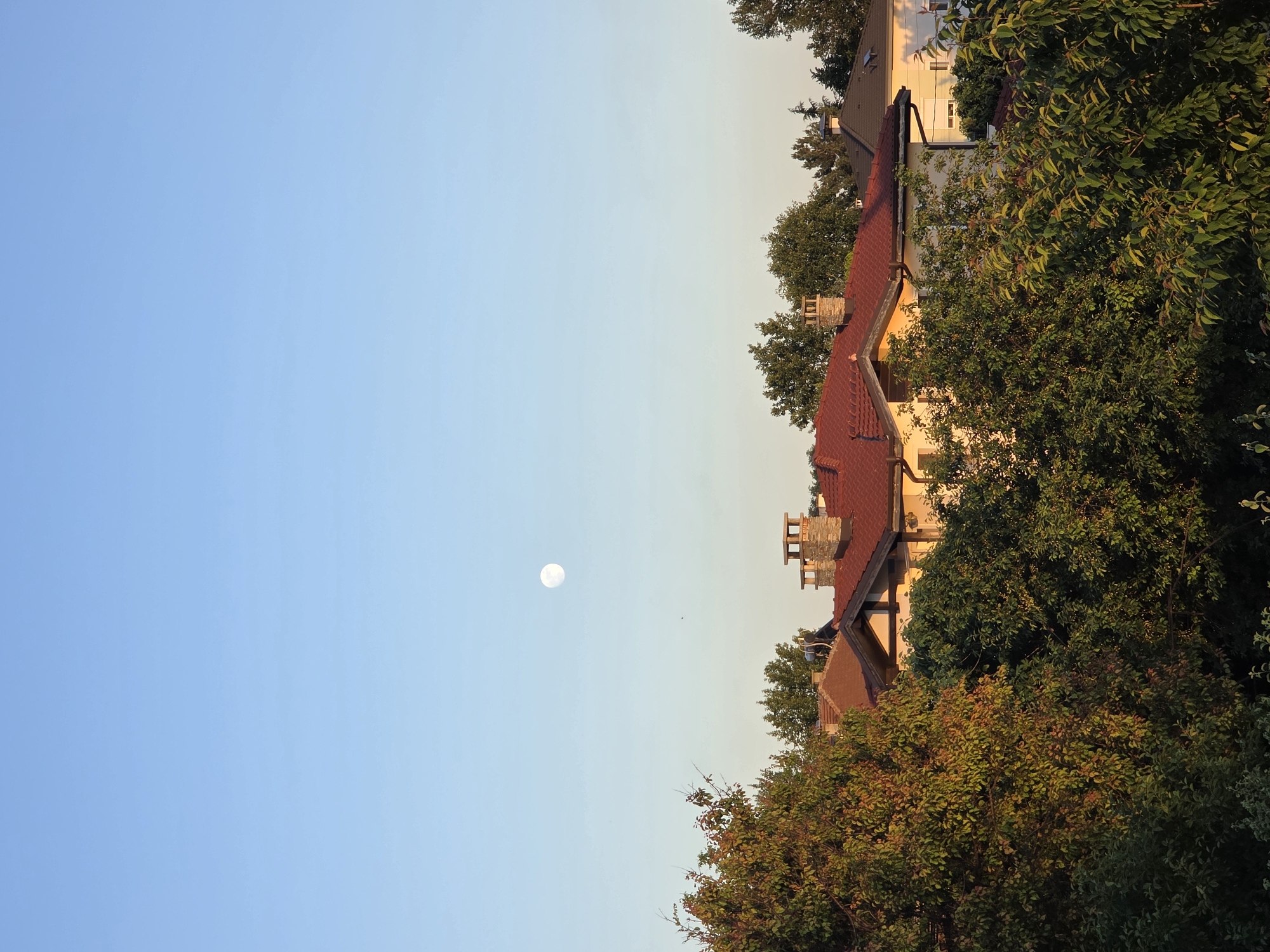 The image depicts a scene in Yagodovo, Bulgaria, featuring a pale, round moon in a blue sky tinged with light yellow at the horizon. Below the sky, a row of houses with red-tiled roofs and chimneys is visible, partially obscured by trees with dense green foliage. One building has a light yellow facade. The light suggests it is either sunrise or sunset. No people are visible.