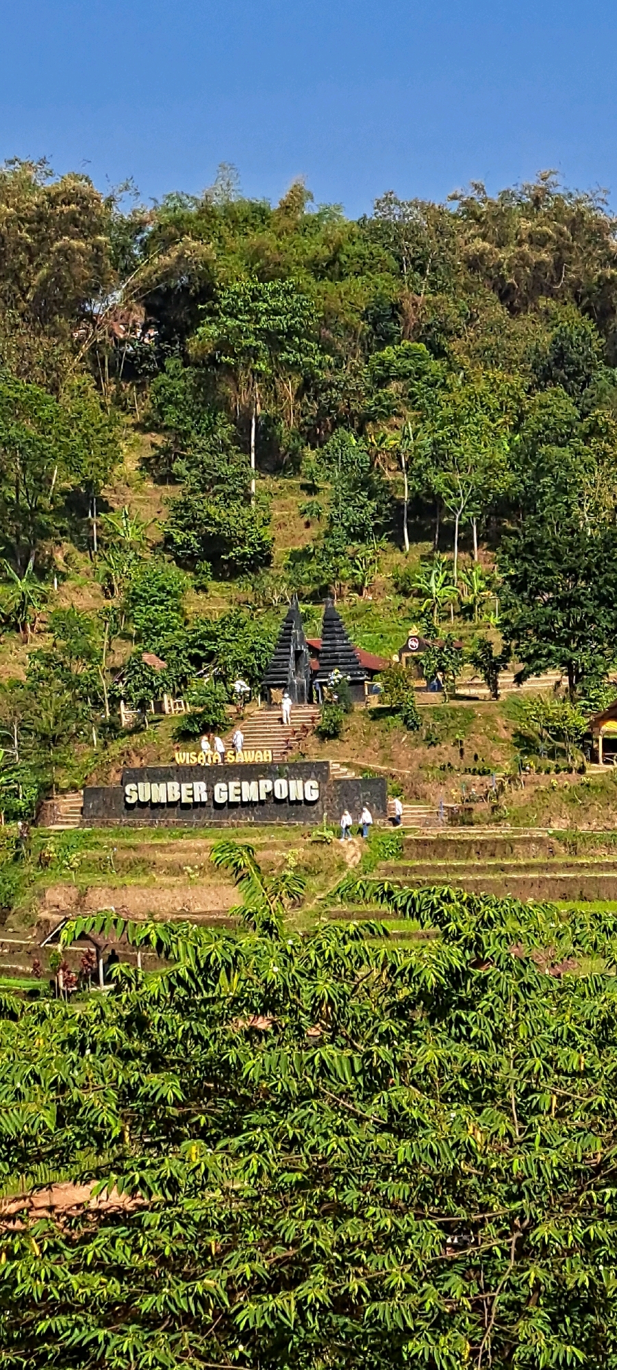 The image shows a hillside in Tretes, Indonesia, covered in lush green vegetation. In the mid-ground, a large sign reads "SUMBER GEMPONG" in bold, white letters against a dark background, with "WISATA SAWAH" written above it. Behind the sign, a traditional-looking, dark-colored gate structure with multiple tiered roofs stands on a stone staircase. Several people, dressed in casual attire, are visible on the stairs and near the sign, some appearing to be tourists. The hillside itself is terraced, suggesting it may be used for agriculture, likely rice paddies given the "WISATA SAWAH" (Rice Tourism) inscription on the sign. The sky is clear and blue, indicating a sunny day. The foreground is dominated by the dense green foliage of plants, likely trees or bushes.