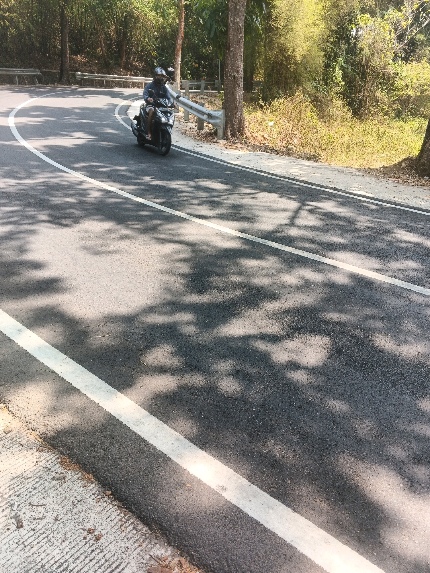 In Semarang, Indonesia, a person rides a black scooter on a paved road that curves to the left. The road has a white line painted along its edge. The scooter rider is wearing a dark jacket and a helmet. The road is lined with trees and vegetation on both sides. The ground beside the road is a rough, textured surface. Shadows of tree leaves are cast across the road, indicating a sunny day. The environment appears to be a semi-rural or scenic area.
