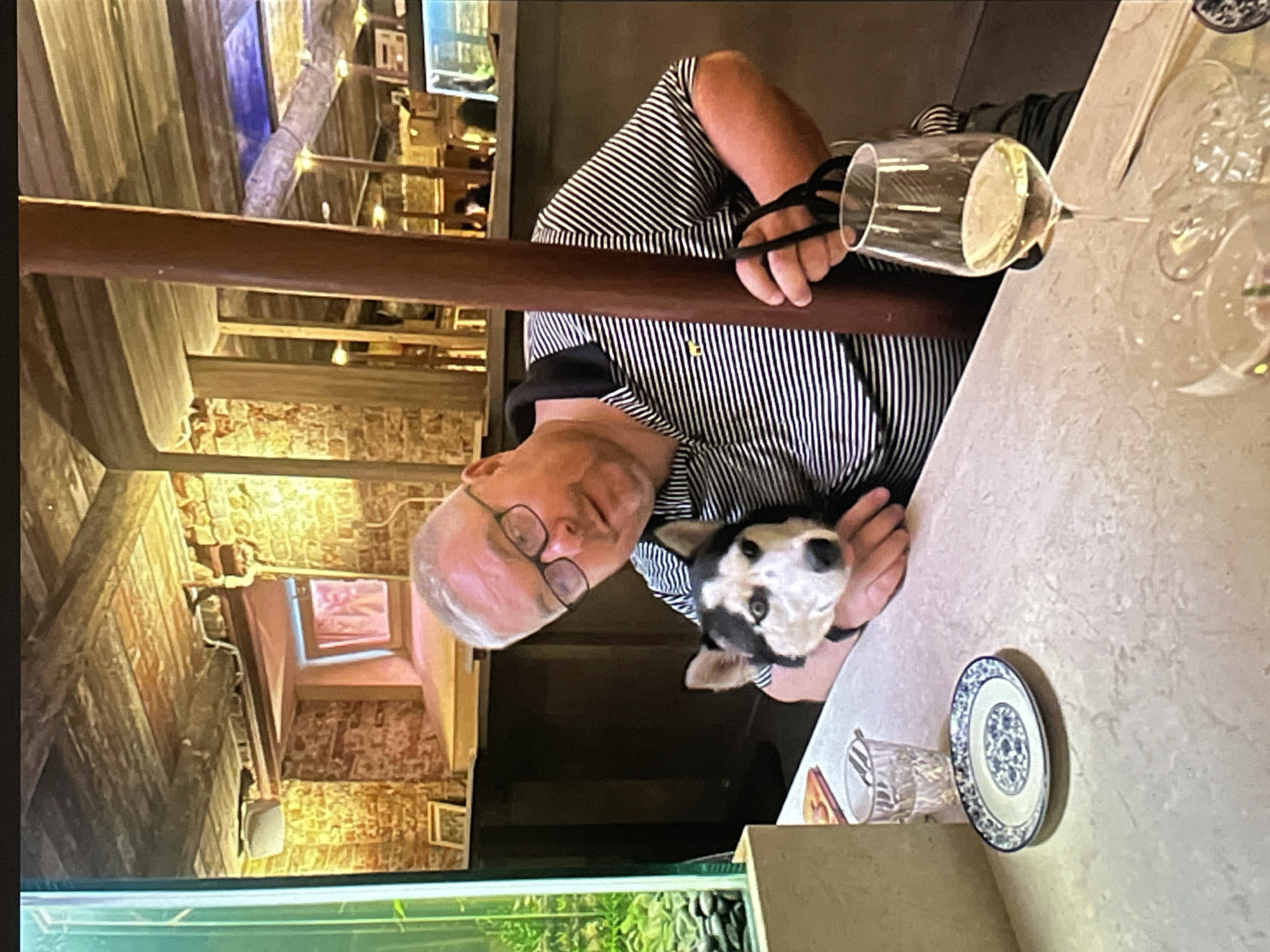 A man in his late 60s with short white hair and eyeglasses is sitting at a table in what appears to be a restaurant. He is wearing a black and white striped shirt. He is holding a small dog, possibly a Husky mix, in his lap. The dog has white and black markings.
On the table, there is a plate with a blue and white design, as well as a wine glass filled with a yellow liquid, possibly white wine.
The background suggests an interior location with wooden beams and brick walls, typical of older buildings. A green, planted enclosure is visible below the table. The interior design and architectural details suggest a location that may be in Saint Petersburg, Russia, based on common restaurant or cafe styles found in older sections of the city.
