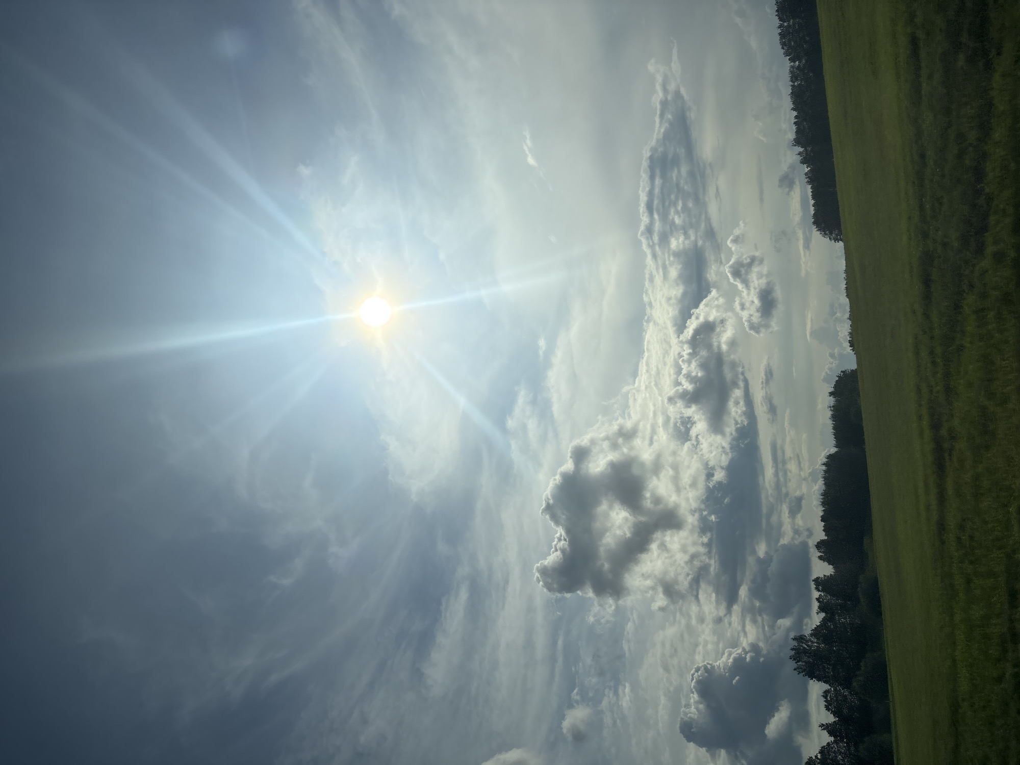 This is an outdoor, eye-level, vertical shot of a landscape with a bright sun shining through a cloudy sky. The sun is positioned in the upper right quadrant of the image, emitting strong rays of light. There are various cloud formations, with some appearing dense and dark, while others are lighter and wispy. One notable cloud formation in the middle left of the frame resembles a heart shape. Below the sky is a green, grassy field that slopes upwards. In the background, a dense line of dark green trees forms a horizon. The image appears to be taken in the Сеніцкі сельскі Савет, Belarus, during daylight hours. There are no people or specific structures visible in the scene.